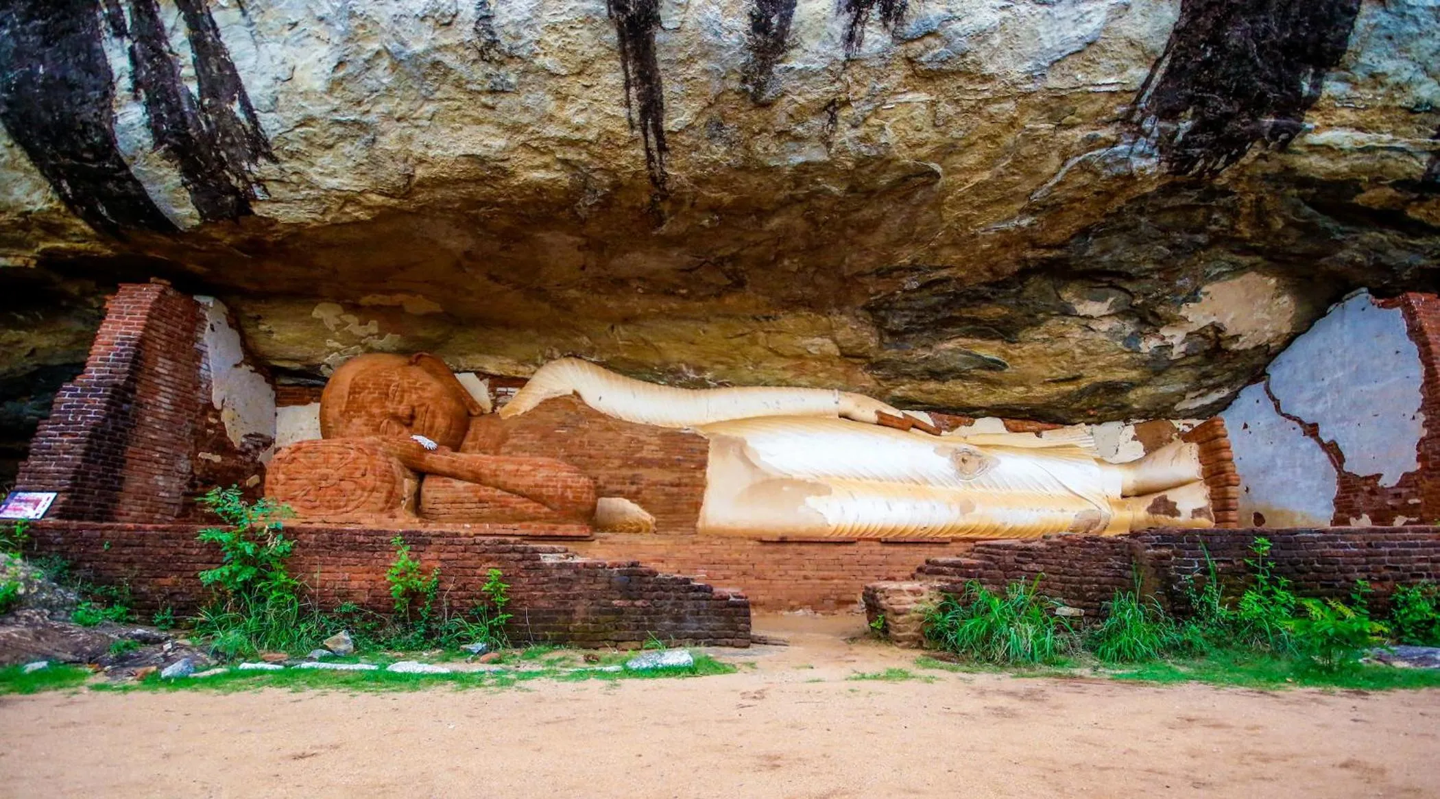 Activities in The Thick Forest