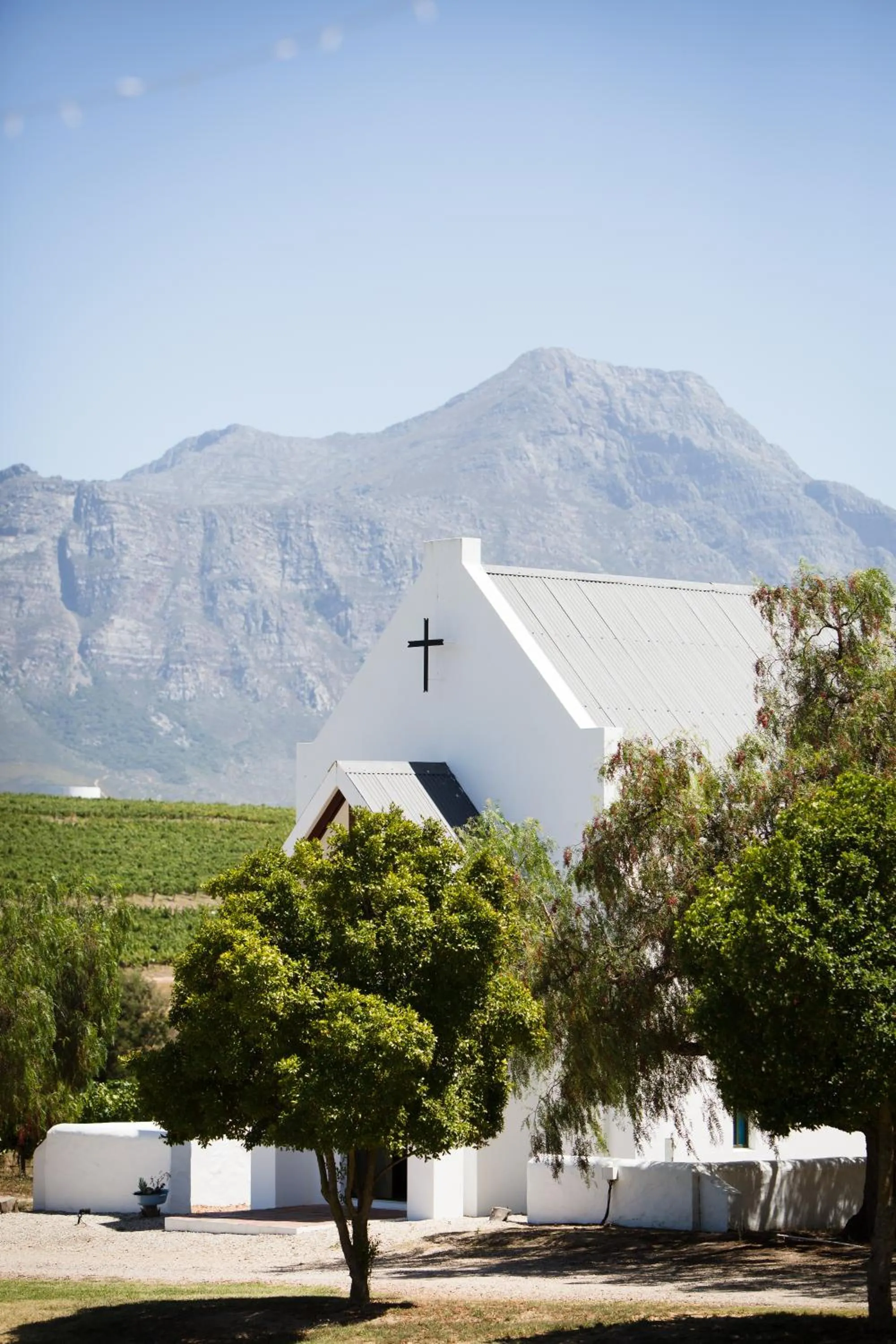 View (from property/room) in Manley Wine Estate