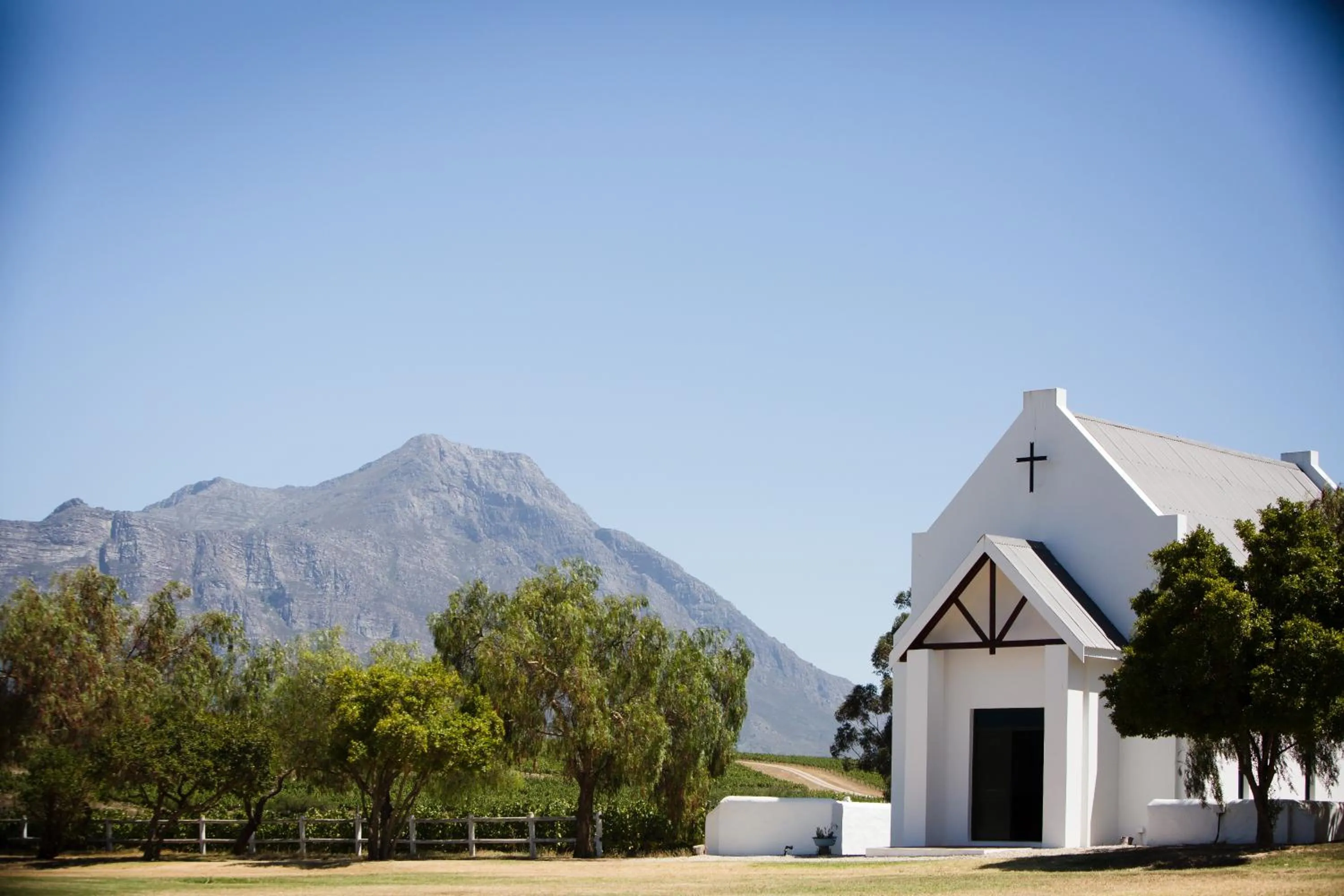 Natural landscape in Manley Wine Estate