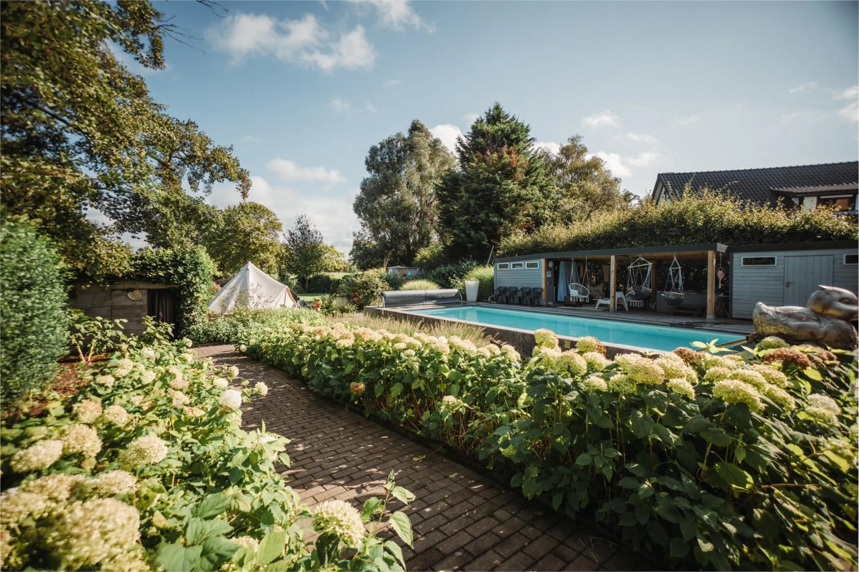 Garden in Guesthouse De Witte Merel Deluxe