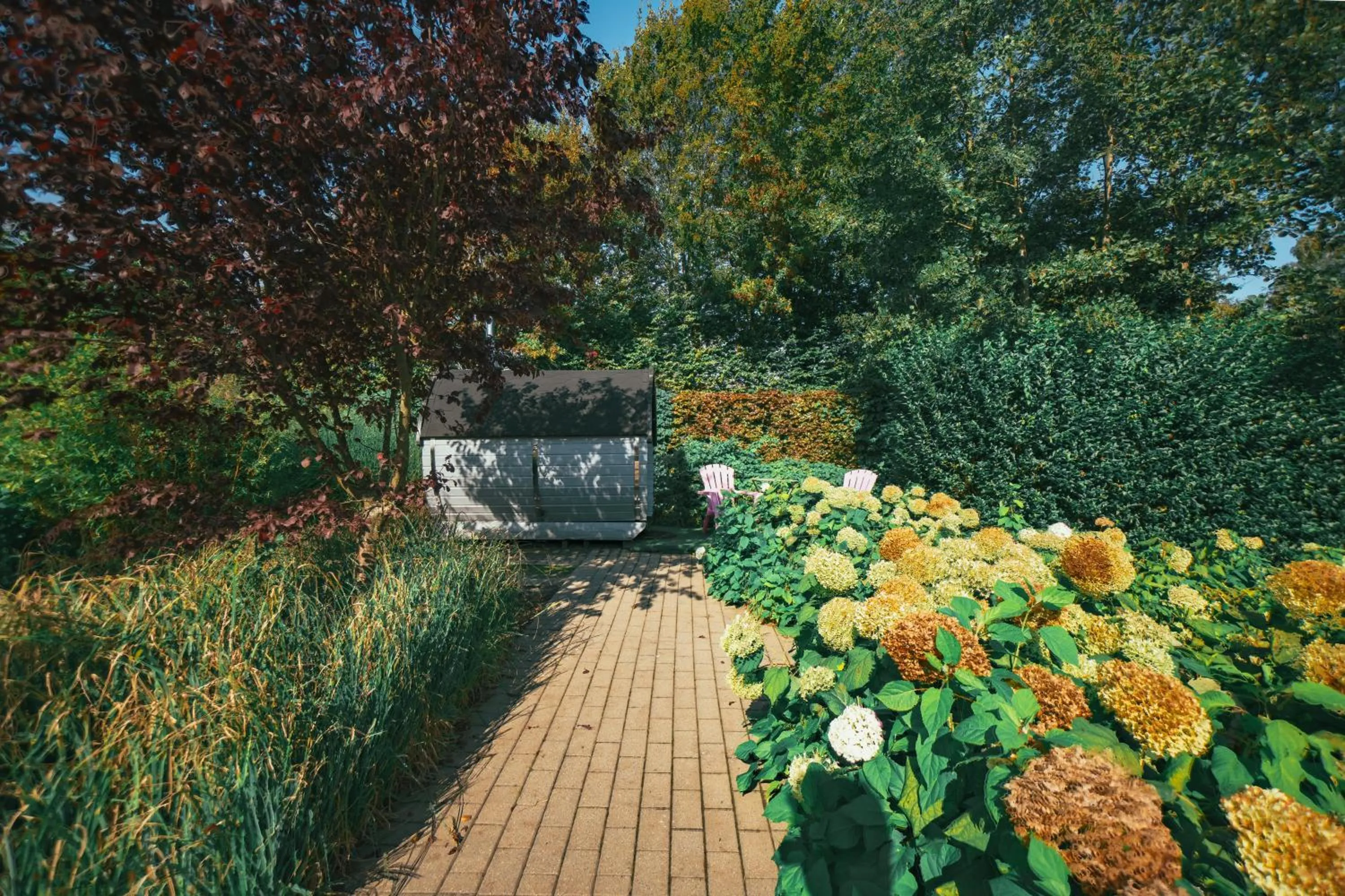 Spring in Guesthouse De Witte Merel Deluxe