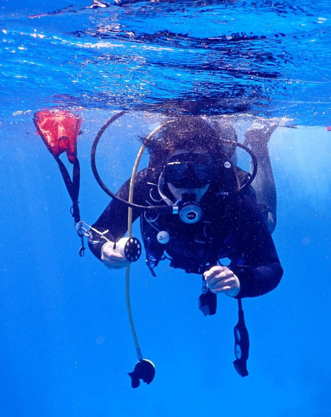 Diving in Guesthouse De Witte Merel Deluxe