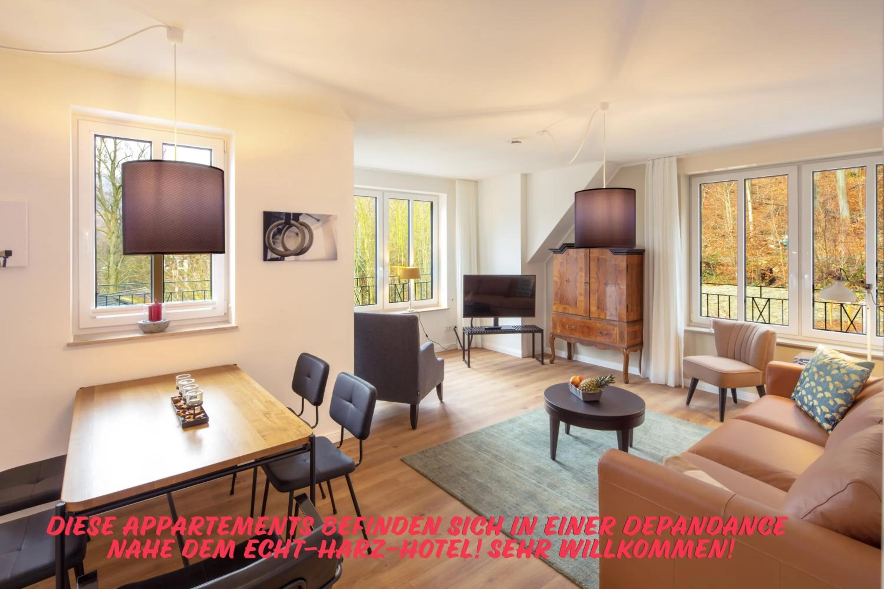 TV and multimedia in Plumbohms ECHT-HARZ-HOTEL