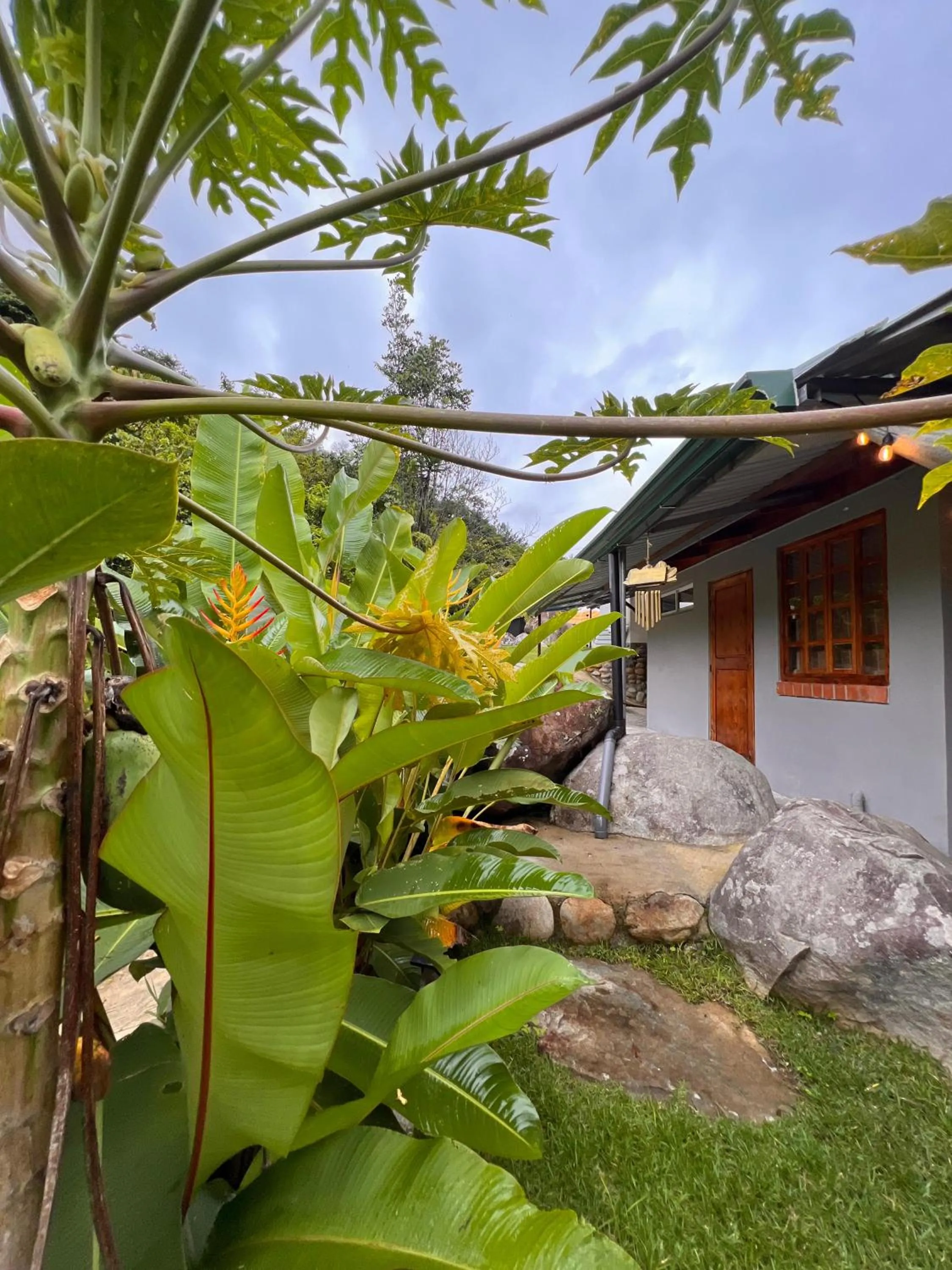Patio in Jardines Secretos