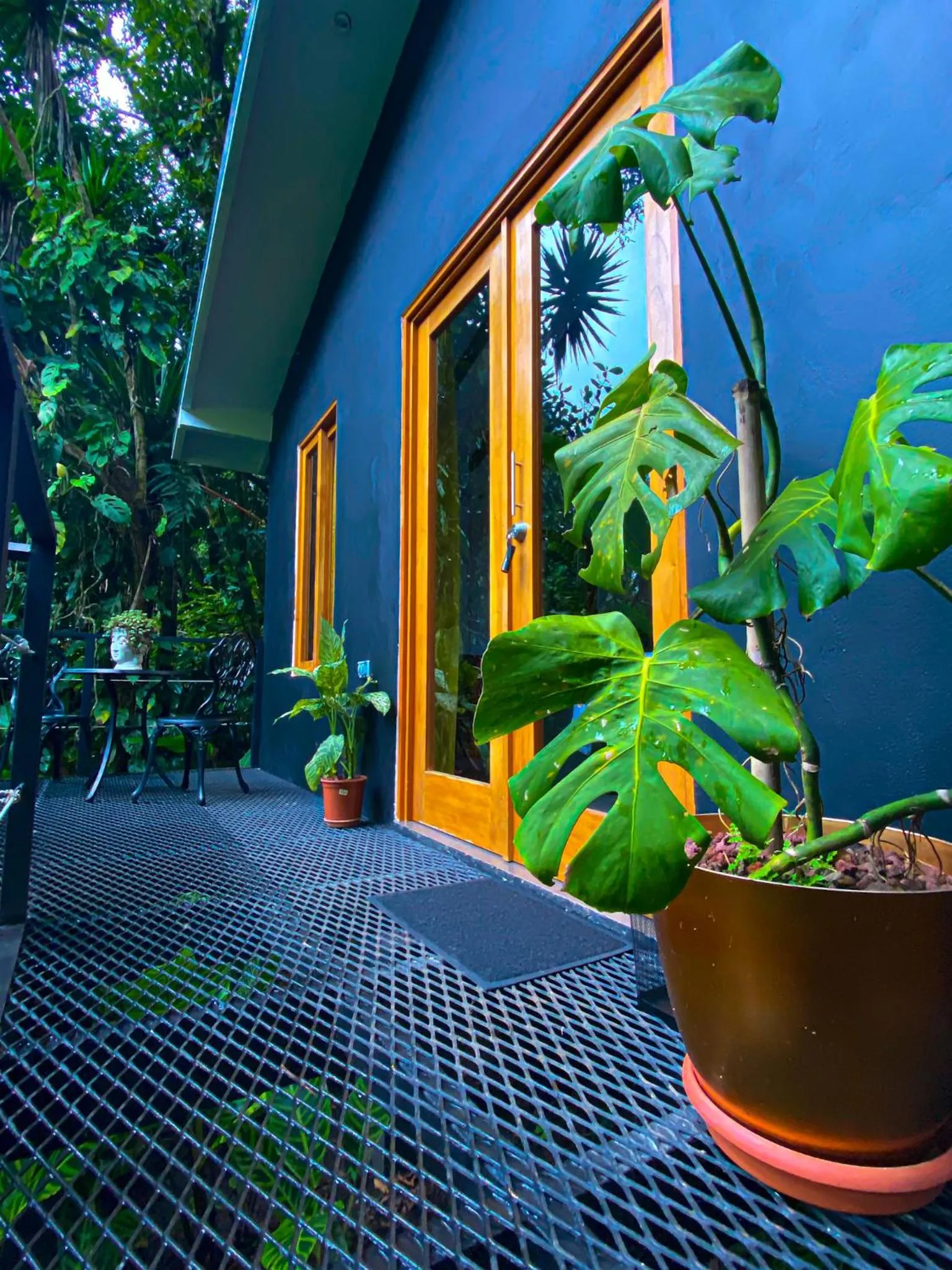 Balcony/Terrace in Jardines Secretos