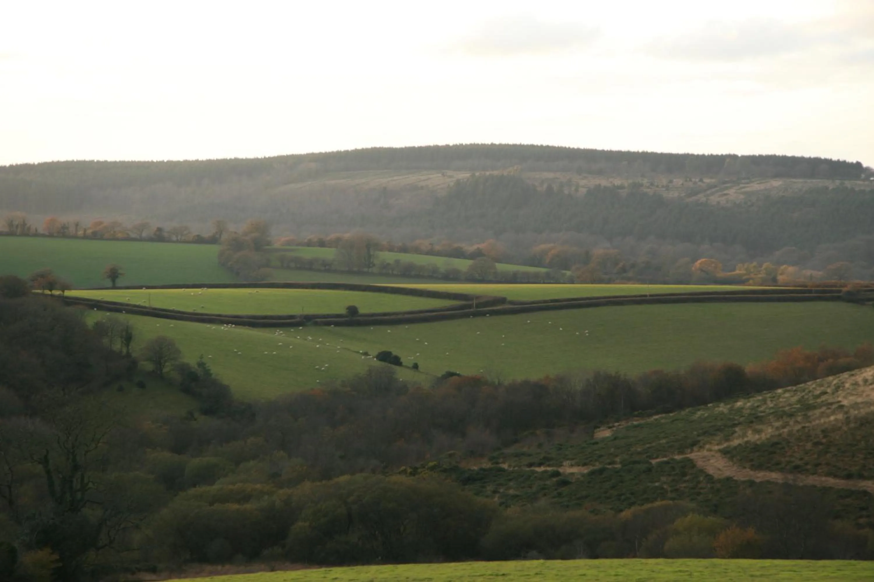 Natural landscape in Lydford House