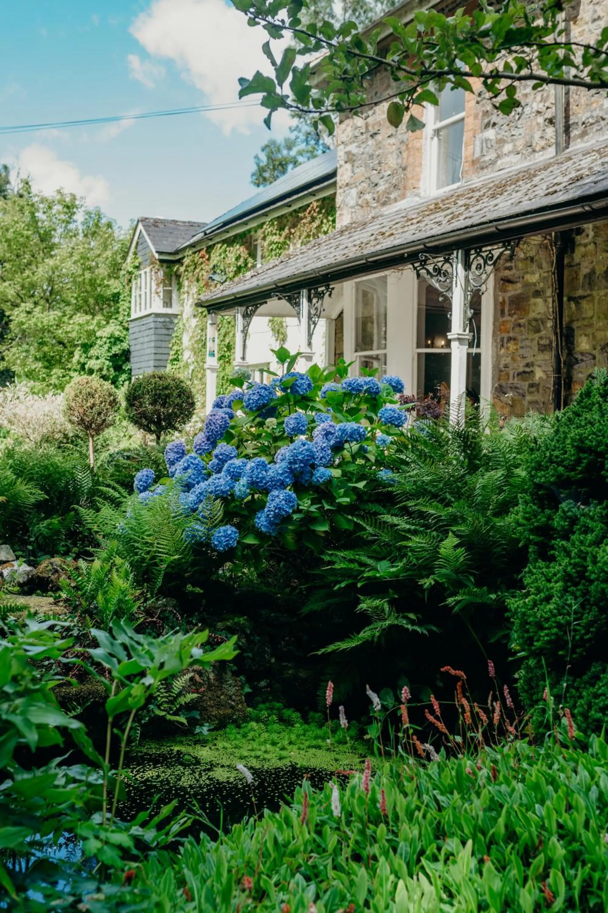 Garden in Lydford House