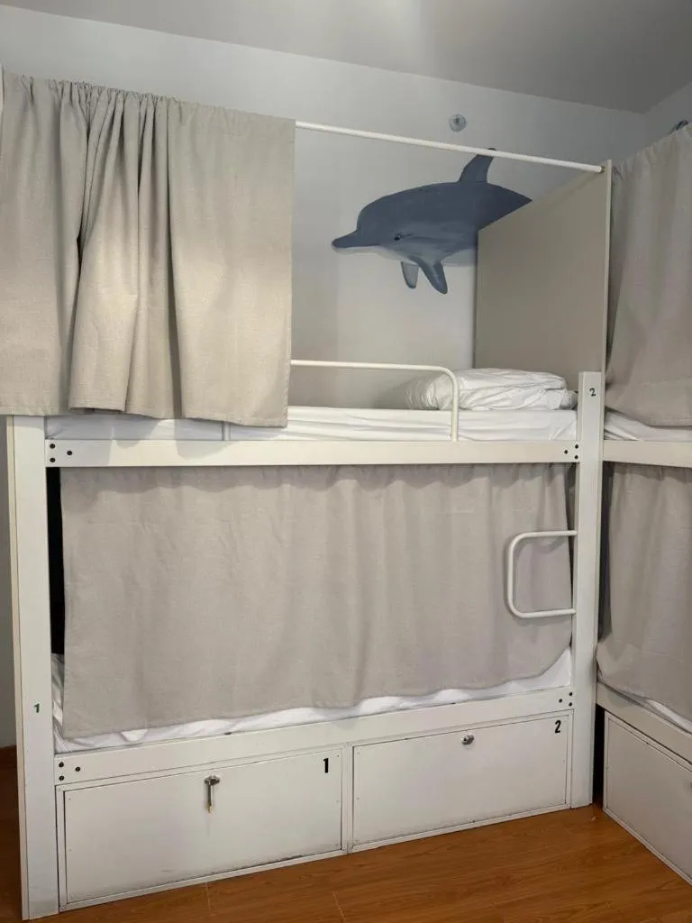 bunk bed in Mediterranean Hostel Barcelona
