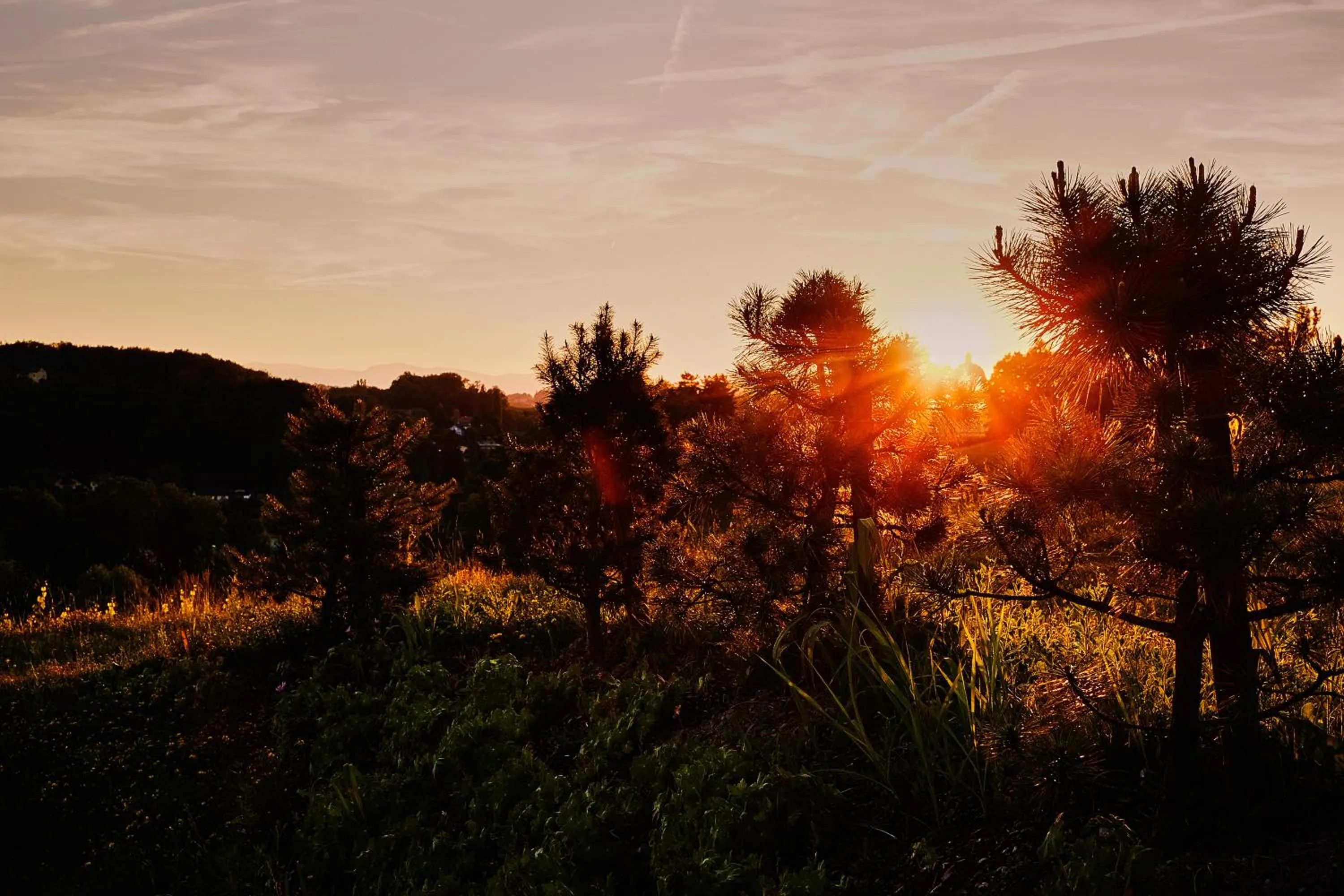 Hiking in LOISIUM Wine & Spa Hotel Südsteiermark