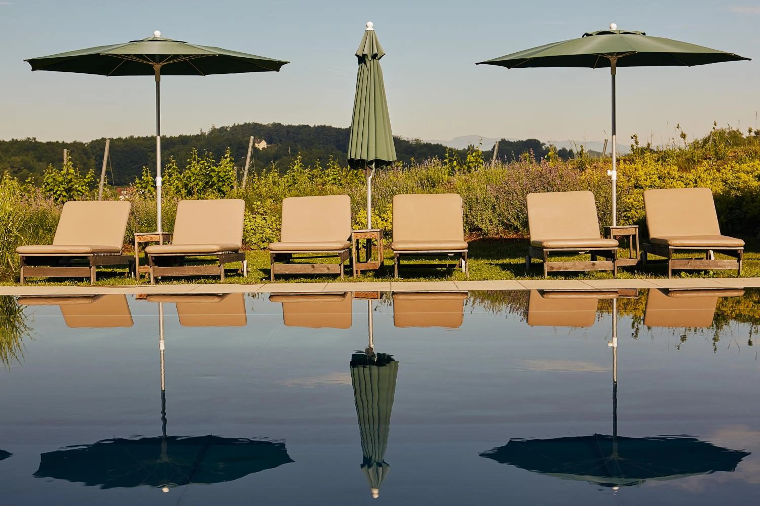 Day in LOISIUM Wine & Spa Hotel Südsteiermark