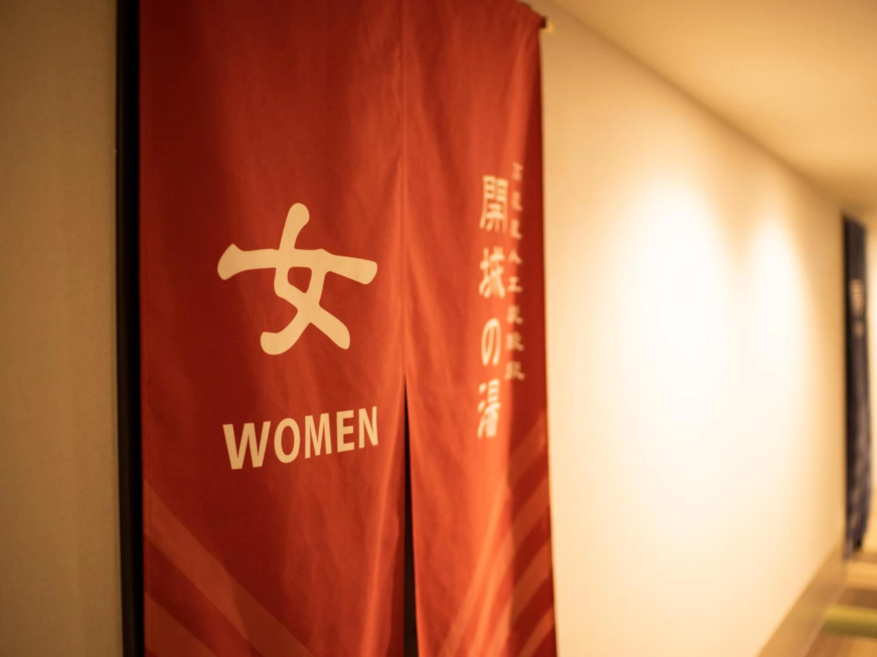 Public Bath in Super Hotel Tokyo Shiba