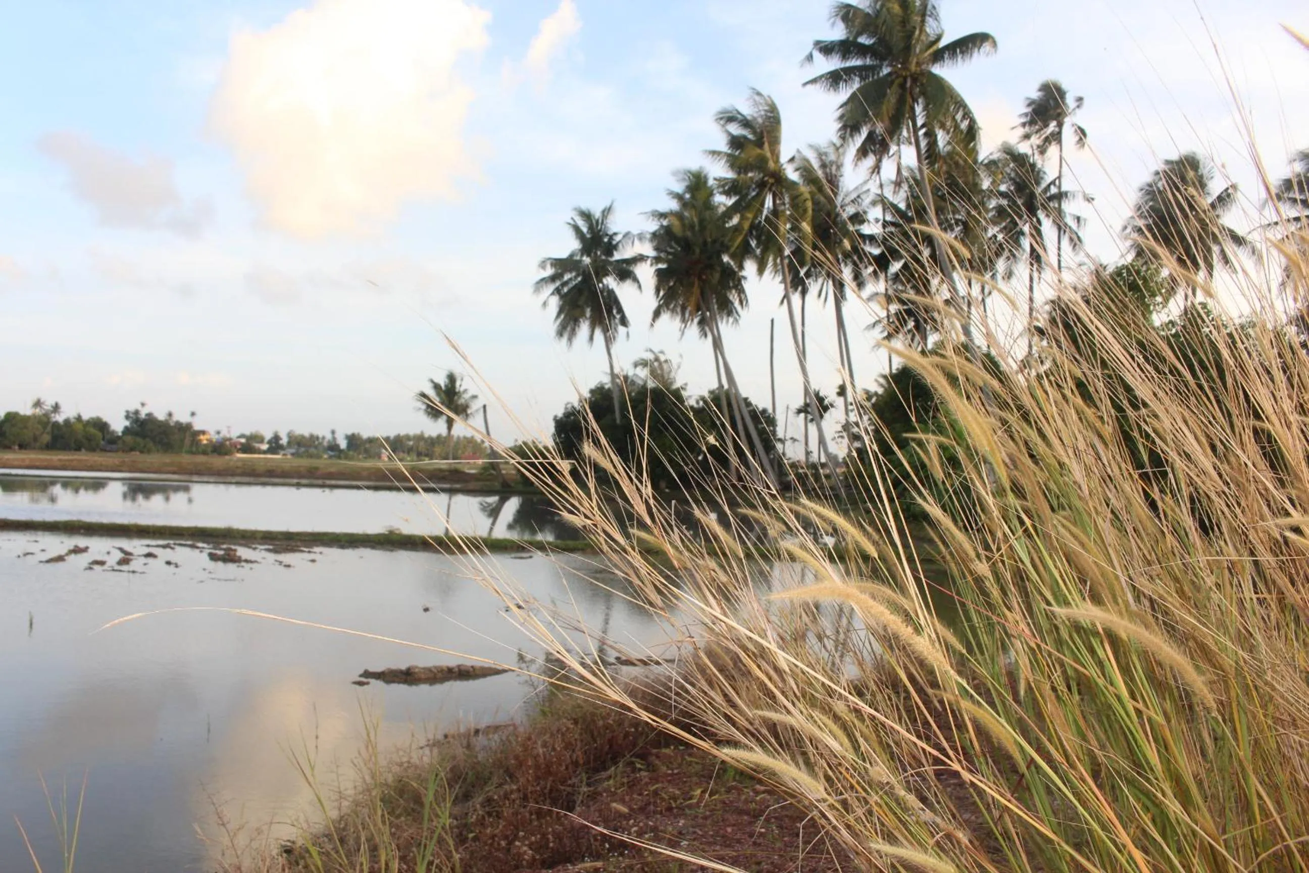 Homestay Zulaika Kota Aur