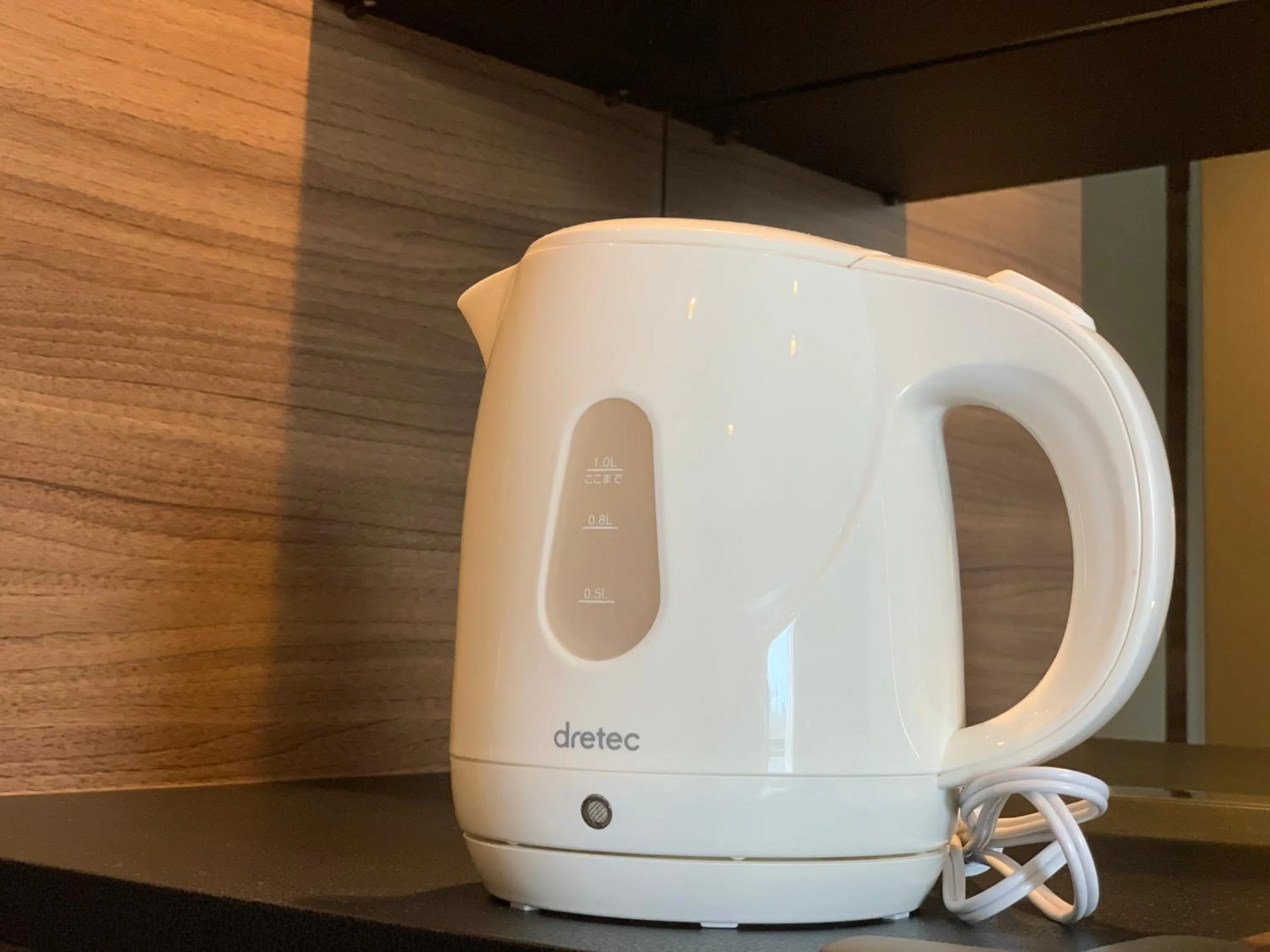 TV and multimedia in Osaka Riverside Hotel