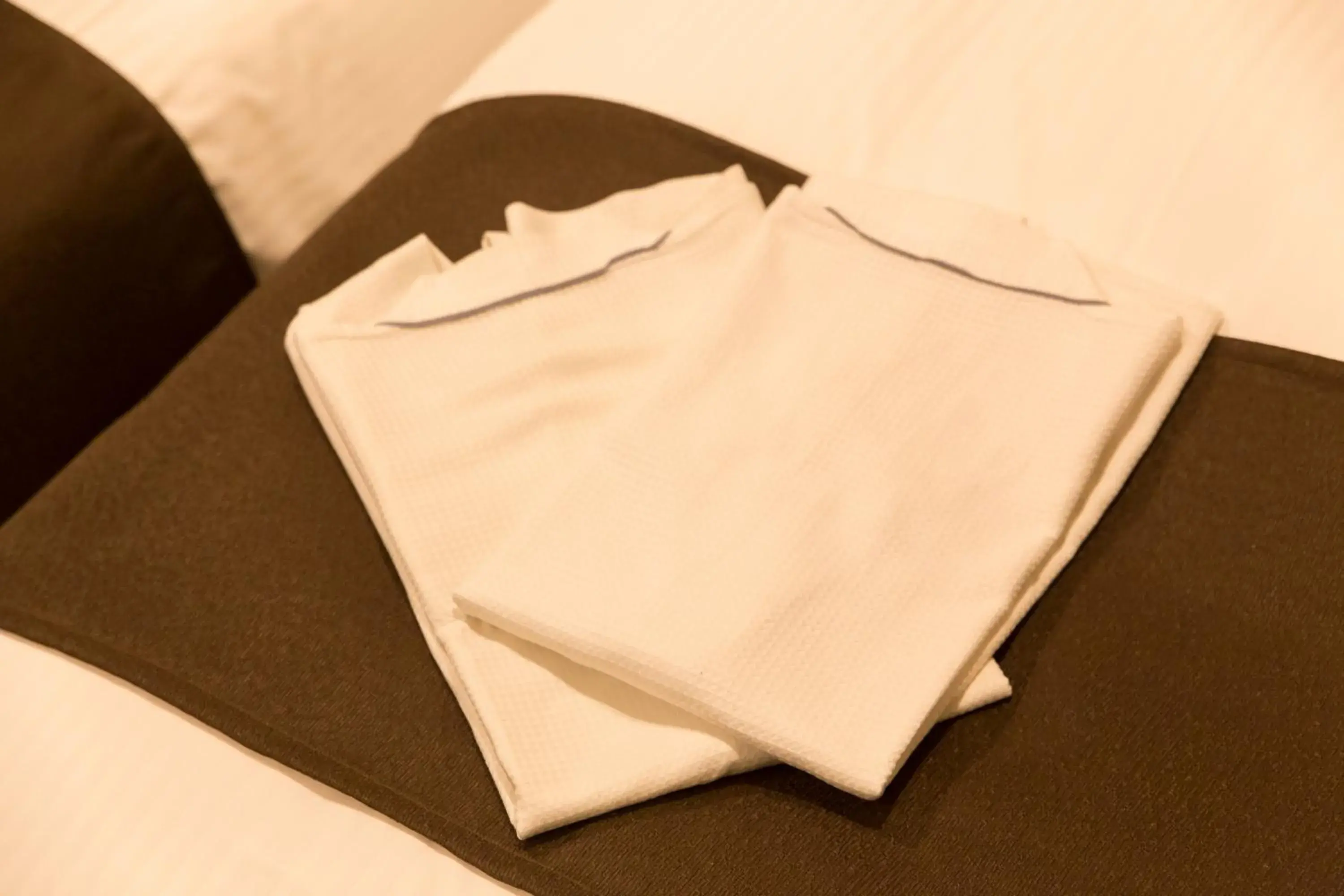 Photo of the whole room in Osaka Riverside Hotel Photo of the whole room in Osaka Riverside Hotel