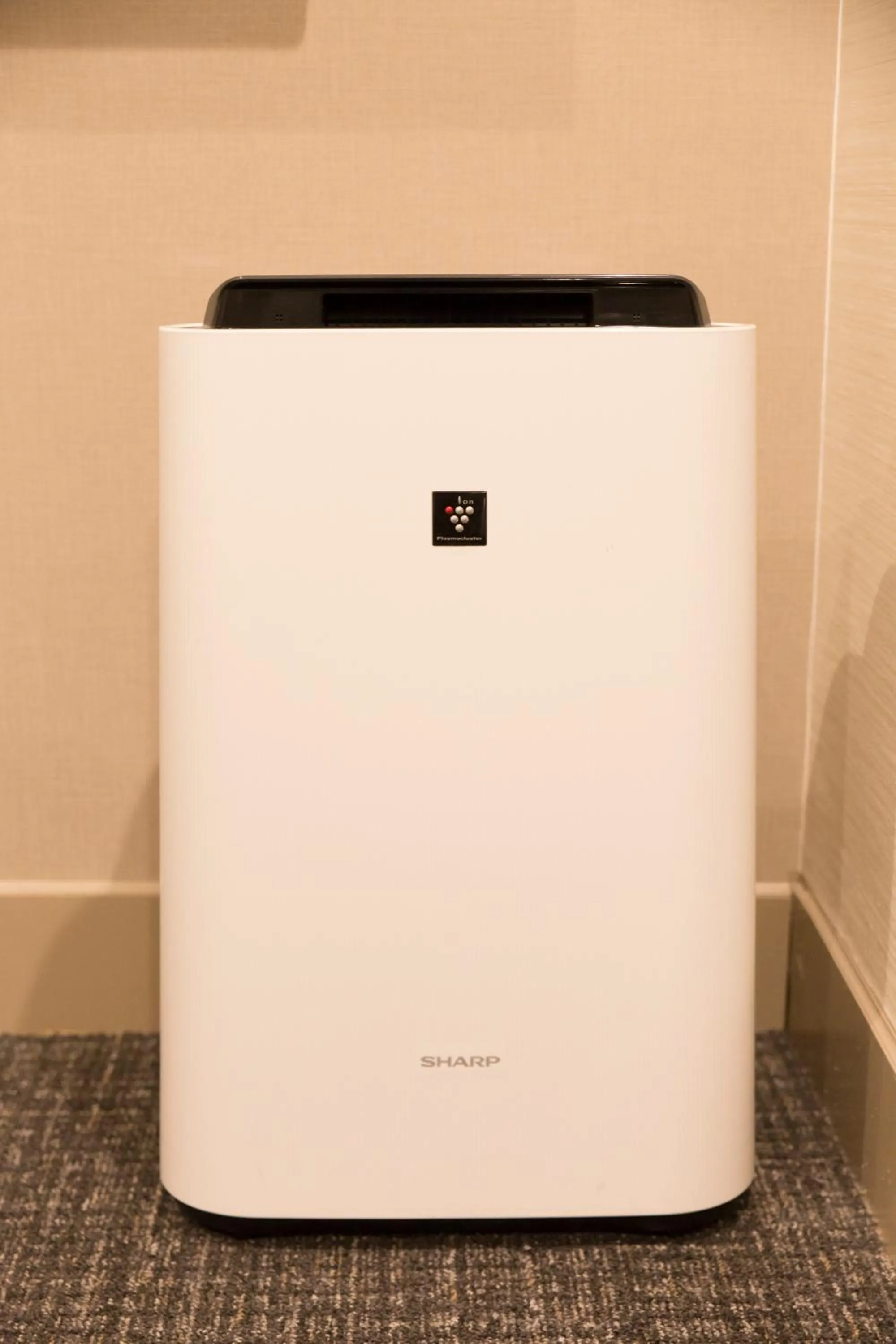 Photo of the whole room in Osaka Riverside Hotel