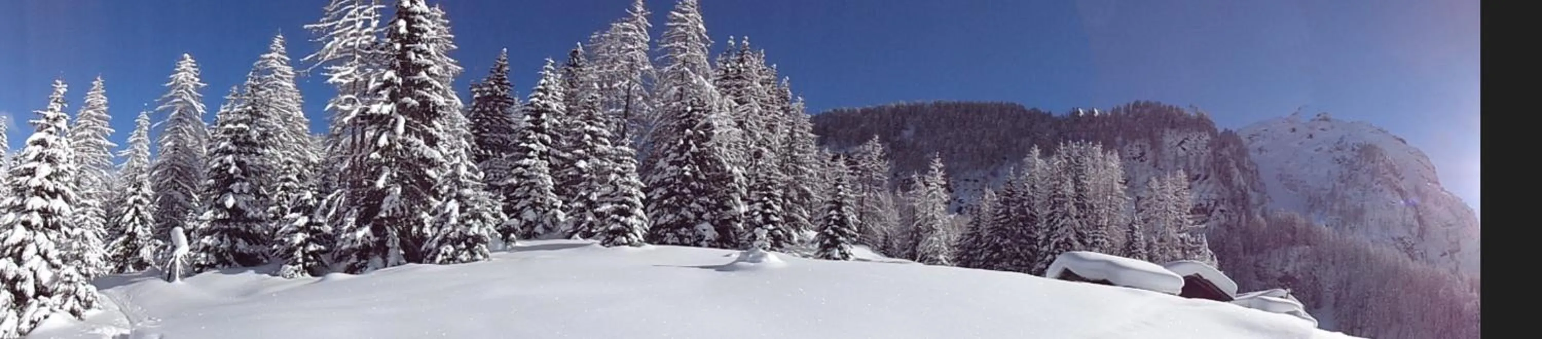 Property building in Hotel Albe