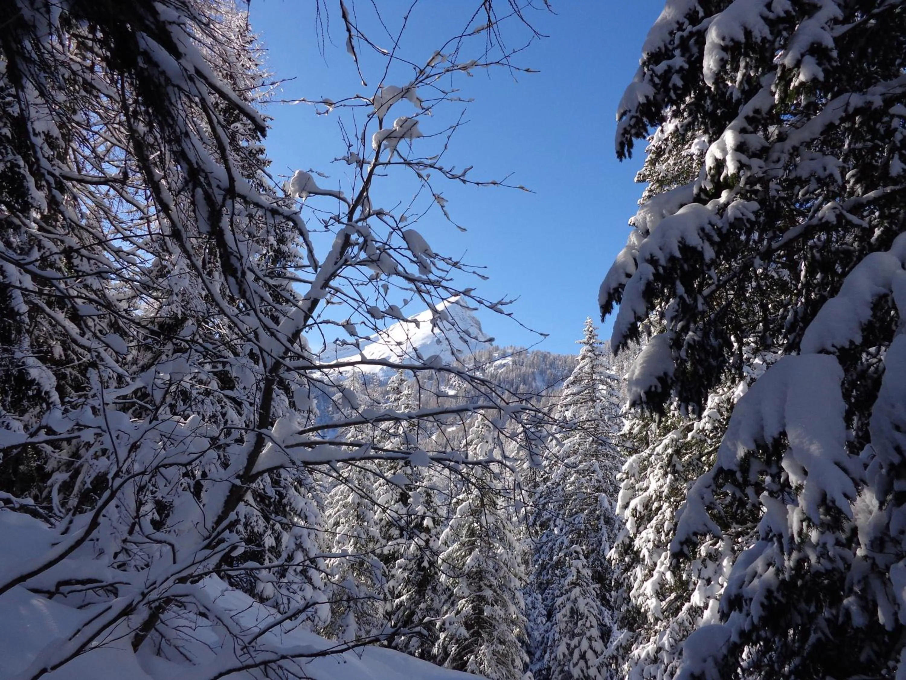 Property building in Hotel Albe