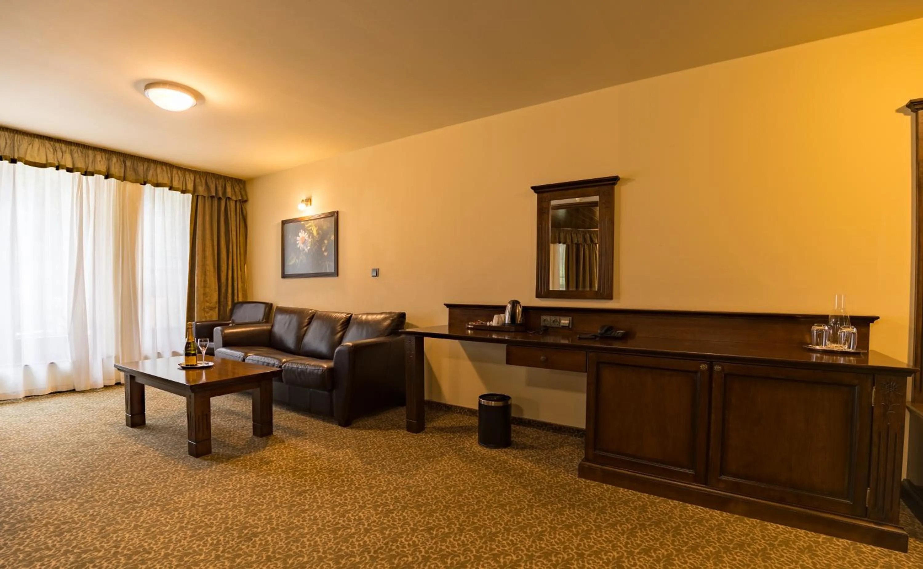 Seating area in APLEND Wellness Hotel Borovica