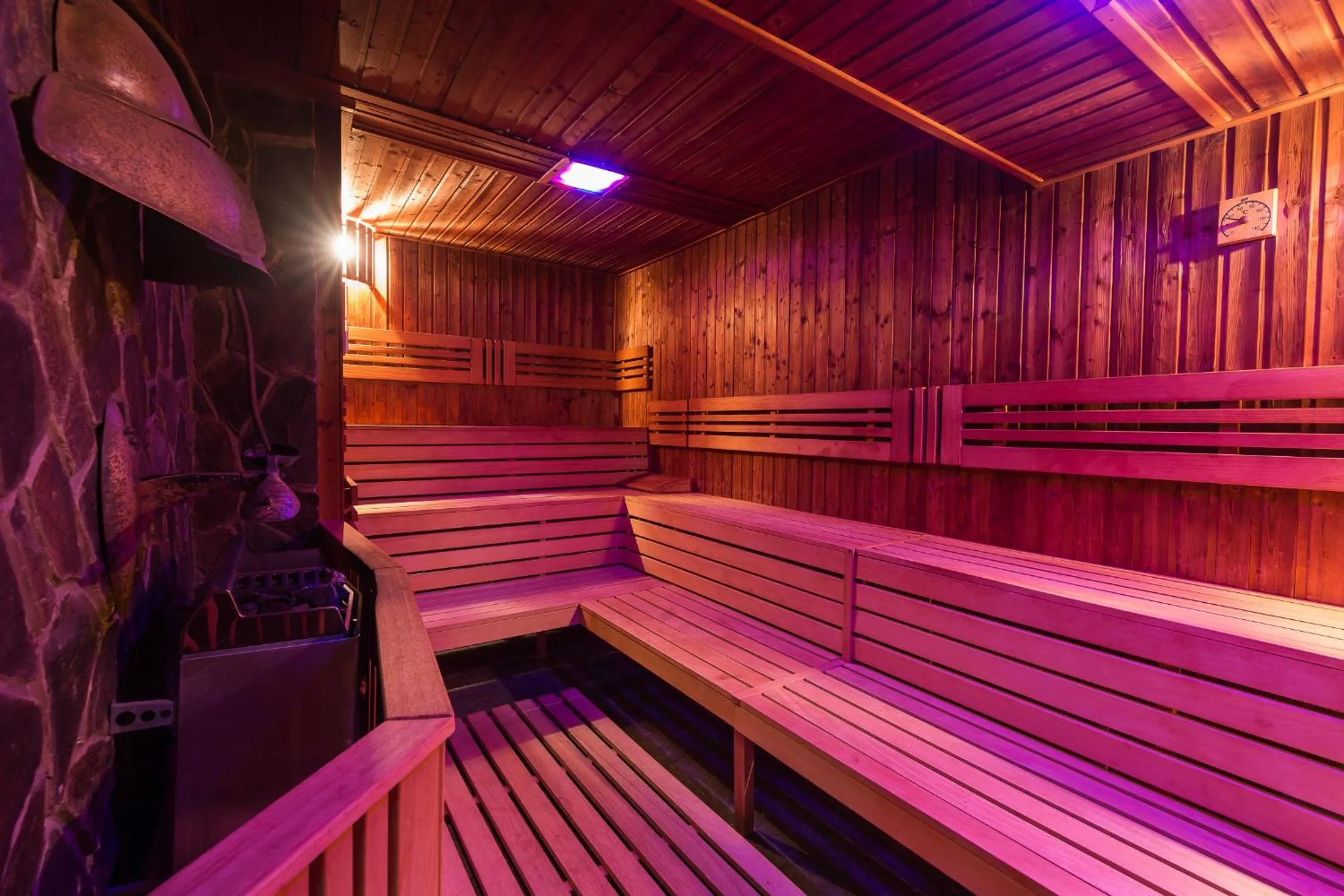 Sauna in APLEND Wellness Hotel Borovica