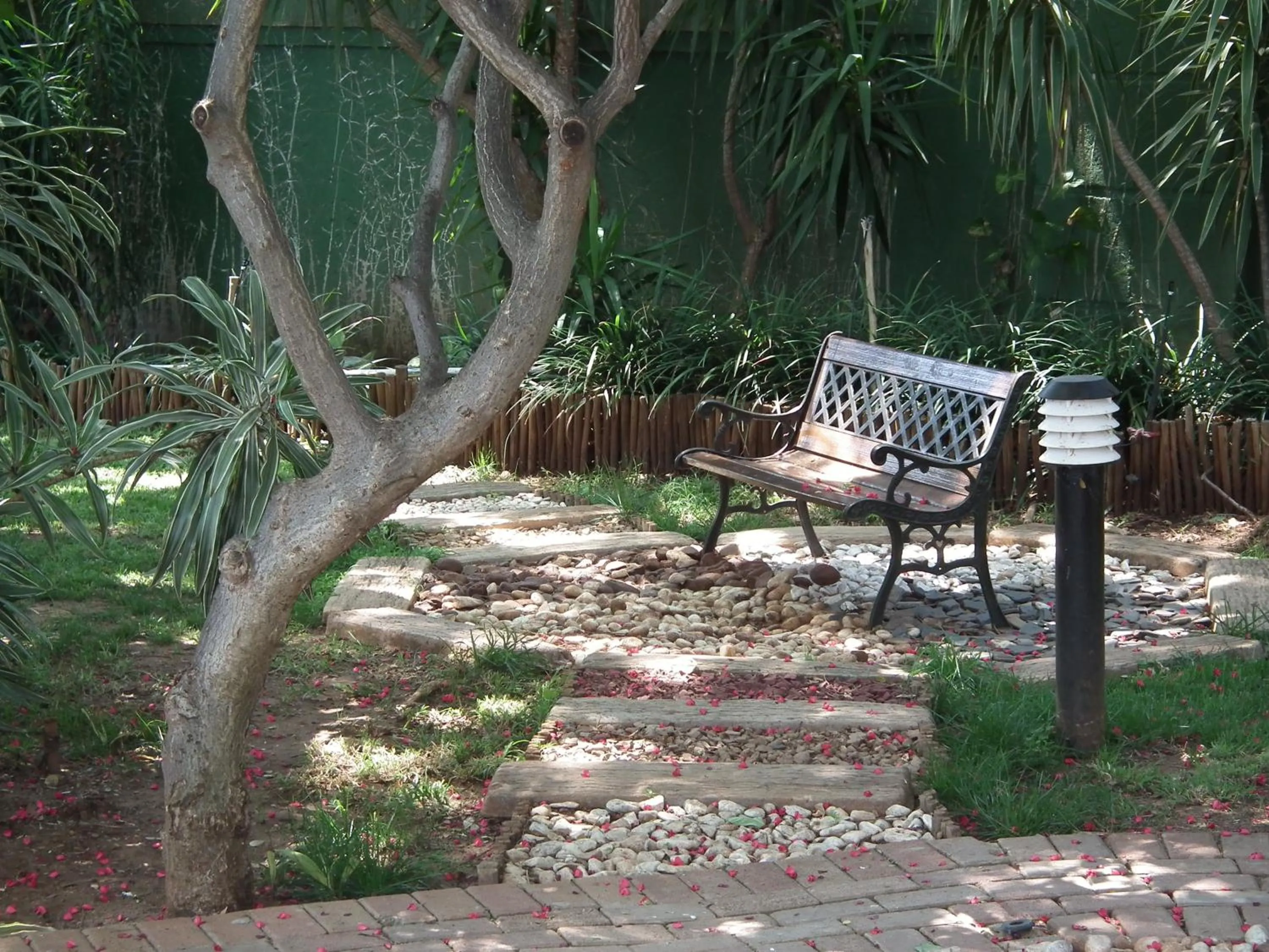 Garden in Rio Vista Lodge