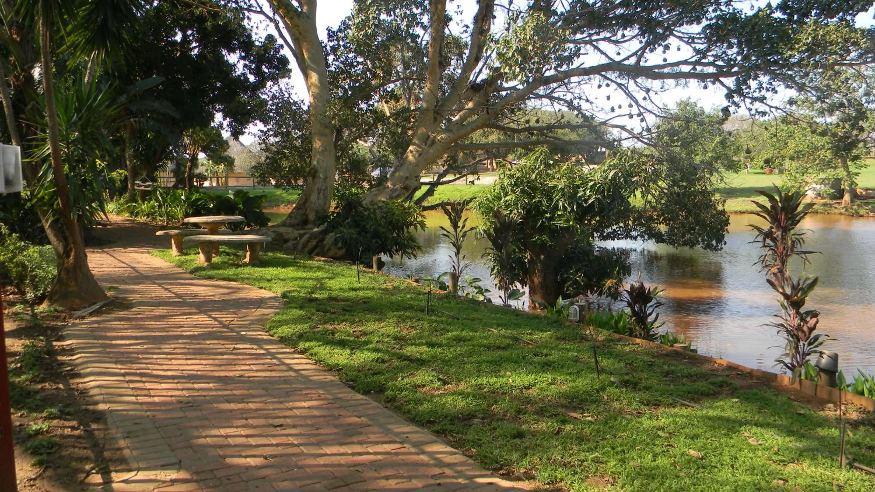 Garden in Rio Vista Lodge