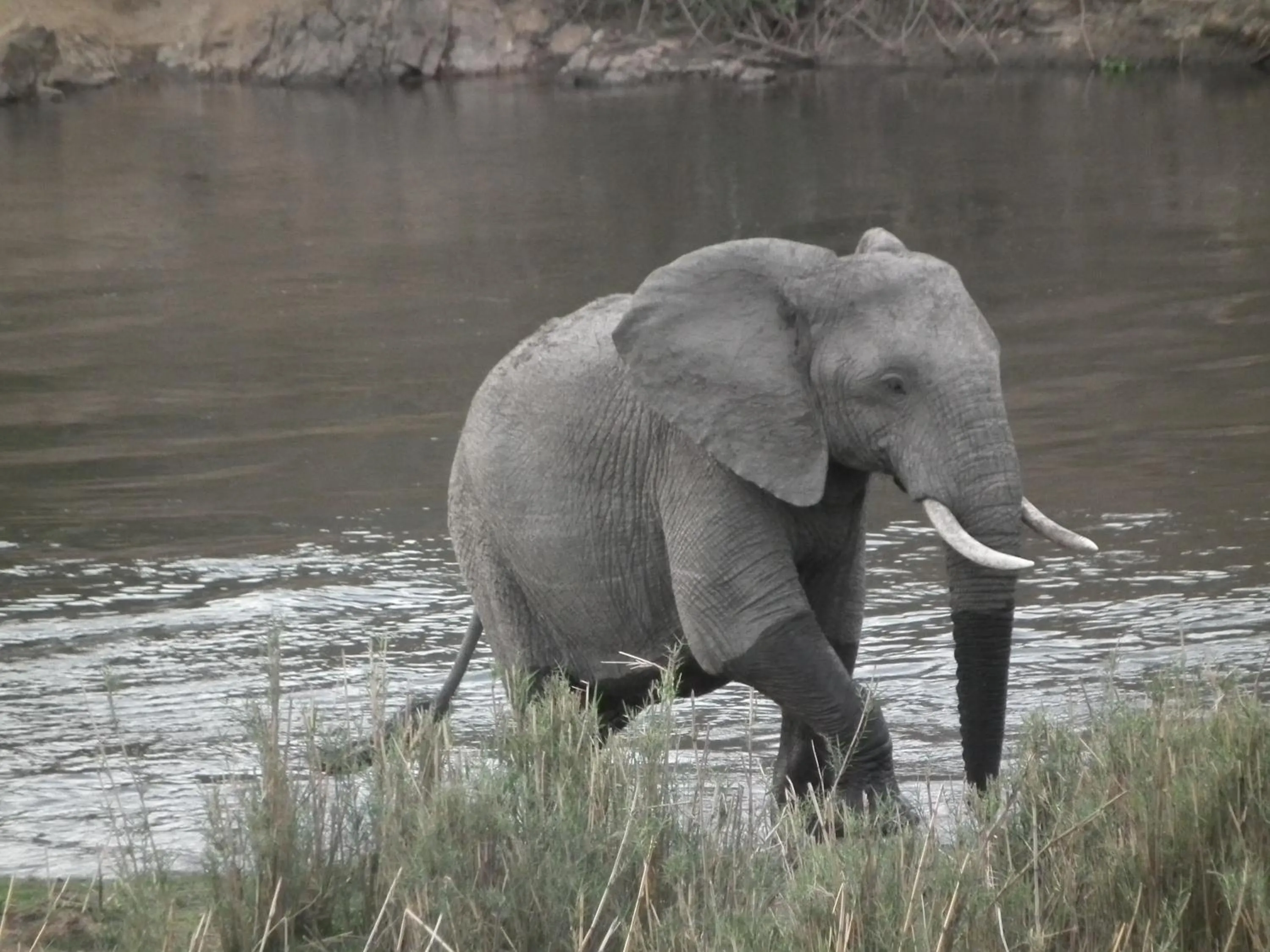 Other in Rio Vista Lodge