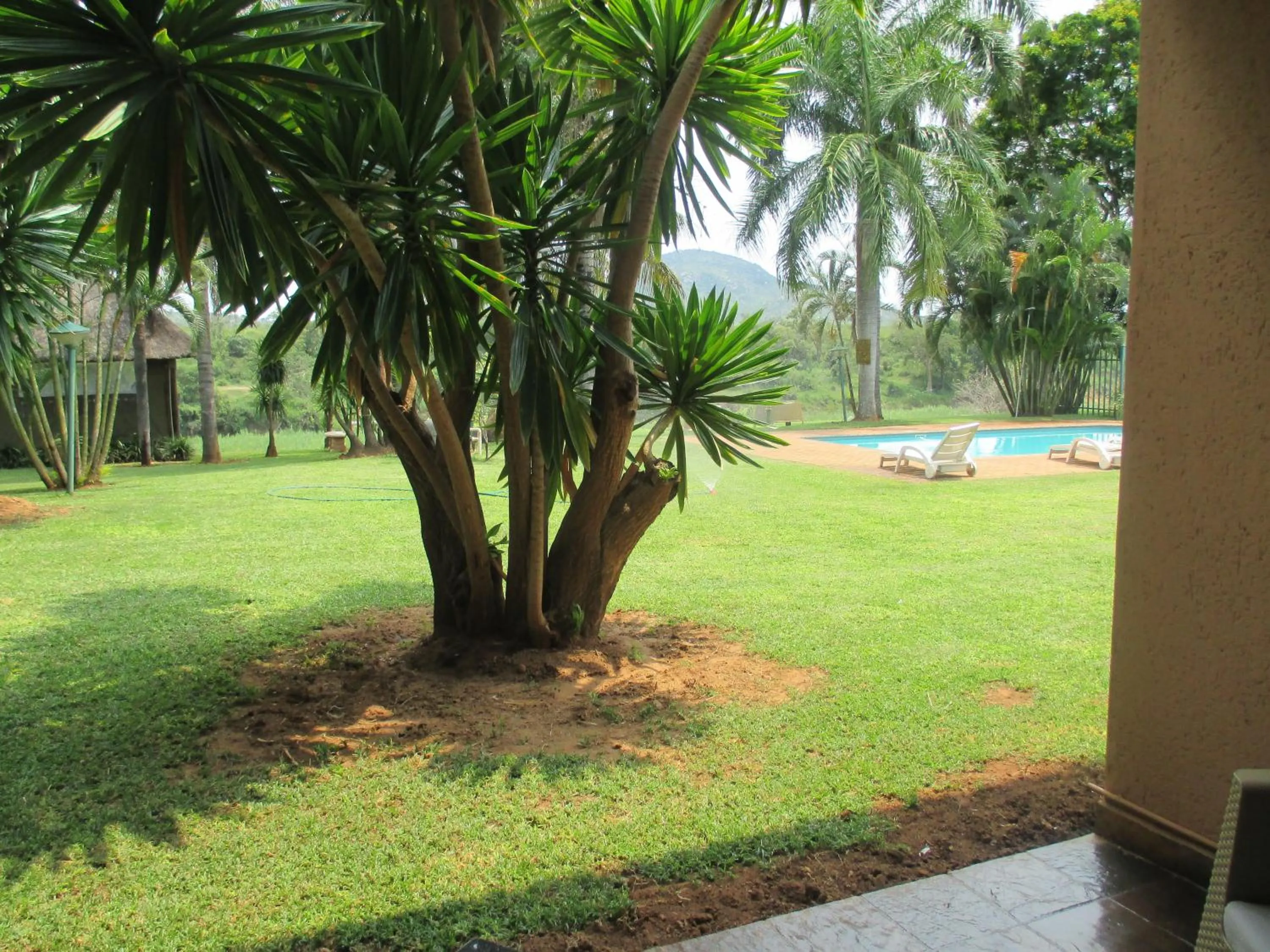 Garden in Rio Vista Lodge