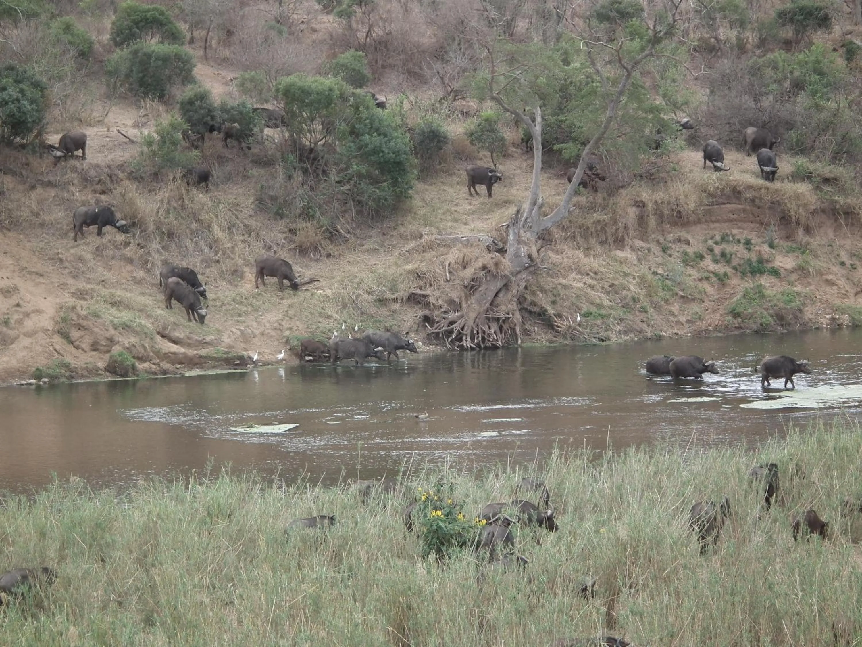 Other in Rio Vista Lodge