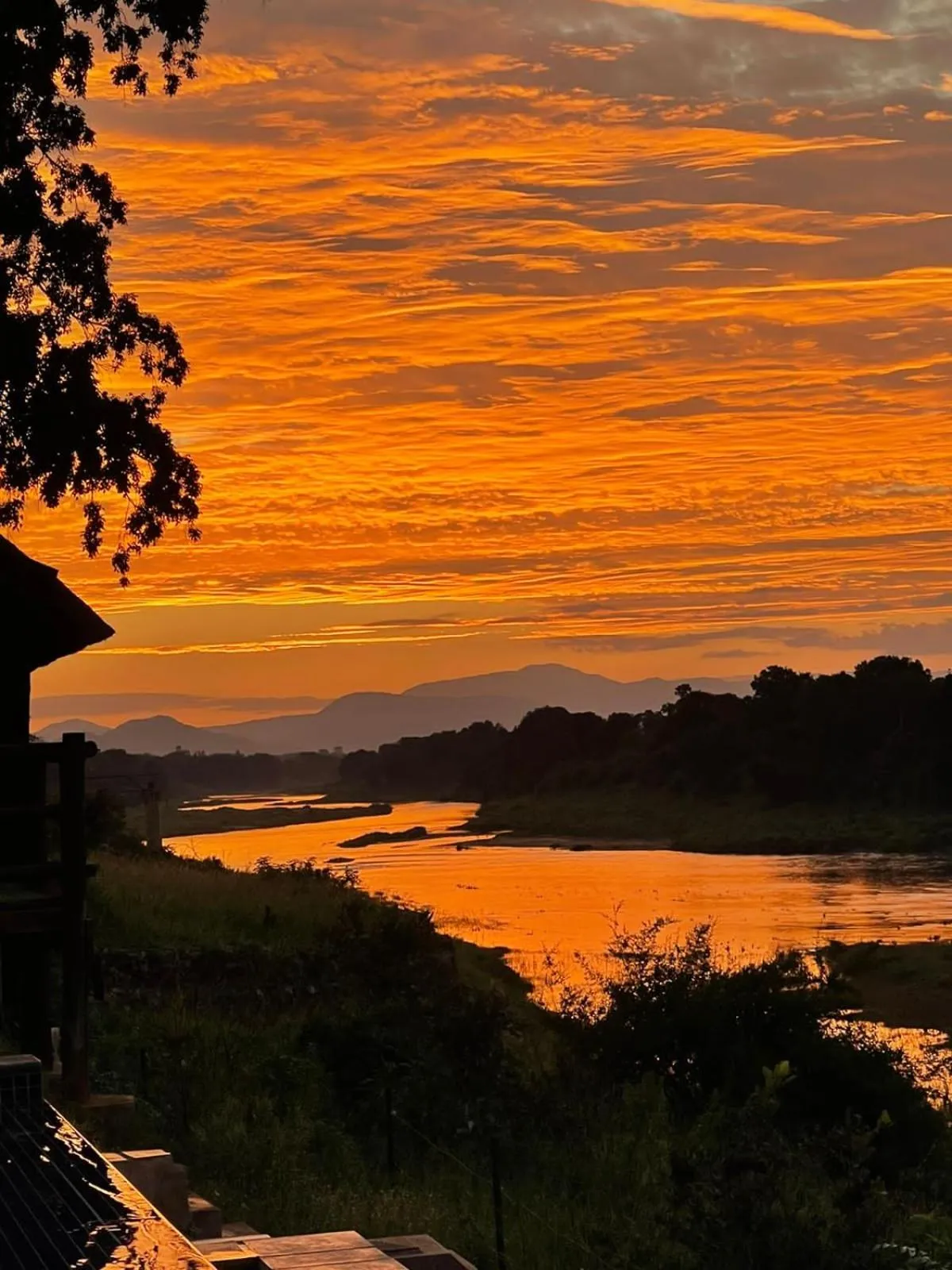 Restaurant/places to eat in Rio Vista Lodge