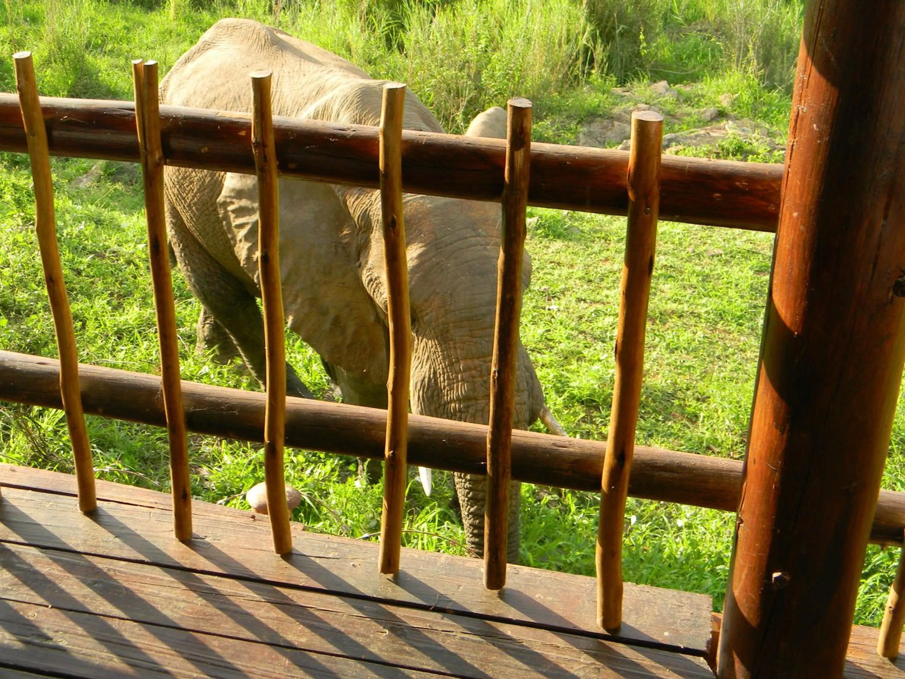 Other in Rio Vista Lodge