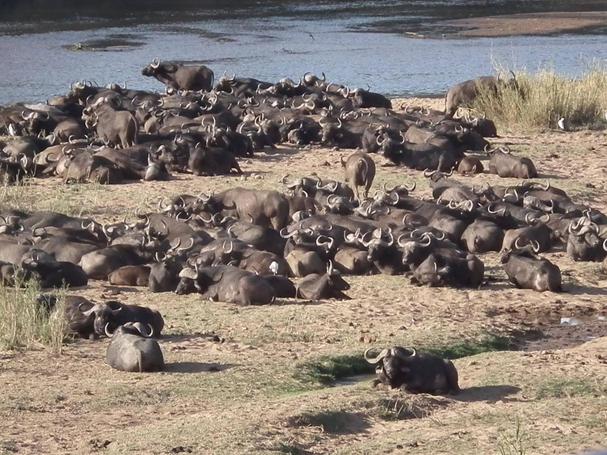 Other in Rio Vista Lodge