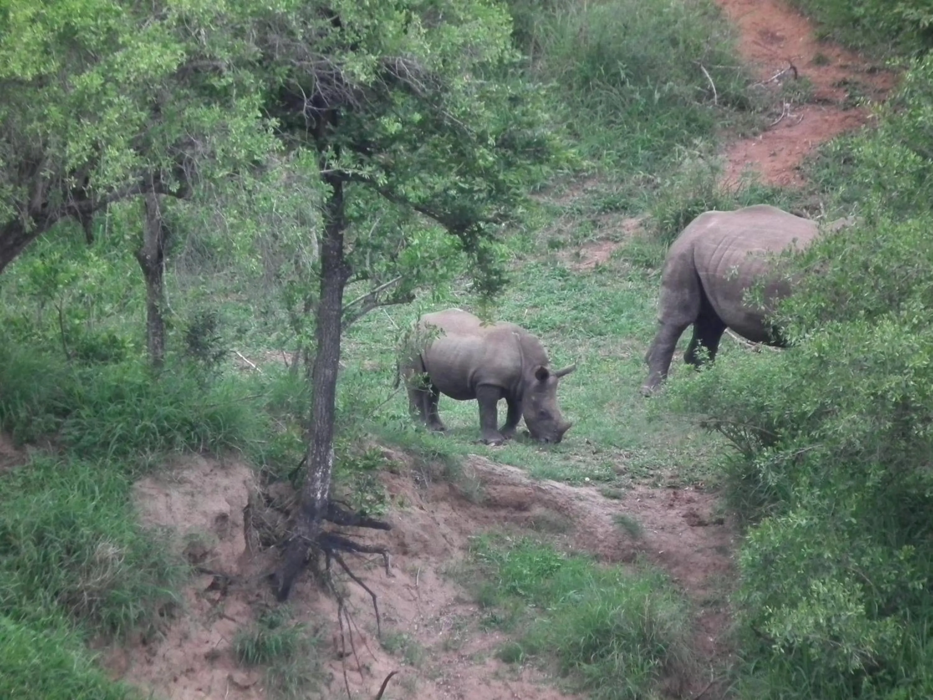 Other in Rio Vista Lodge