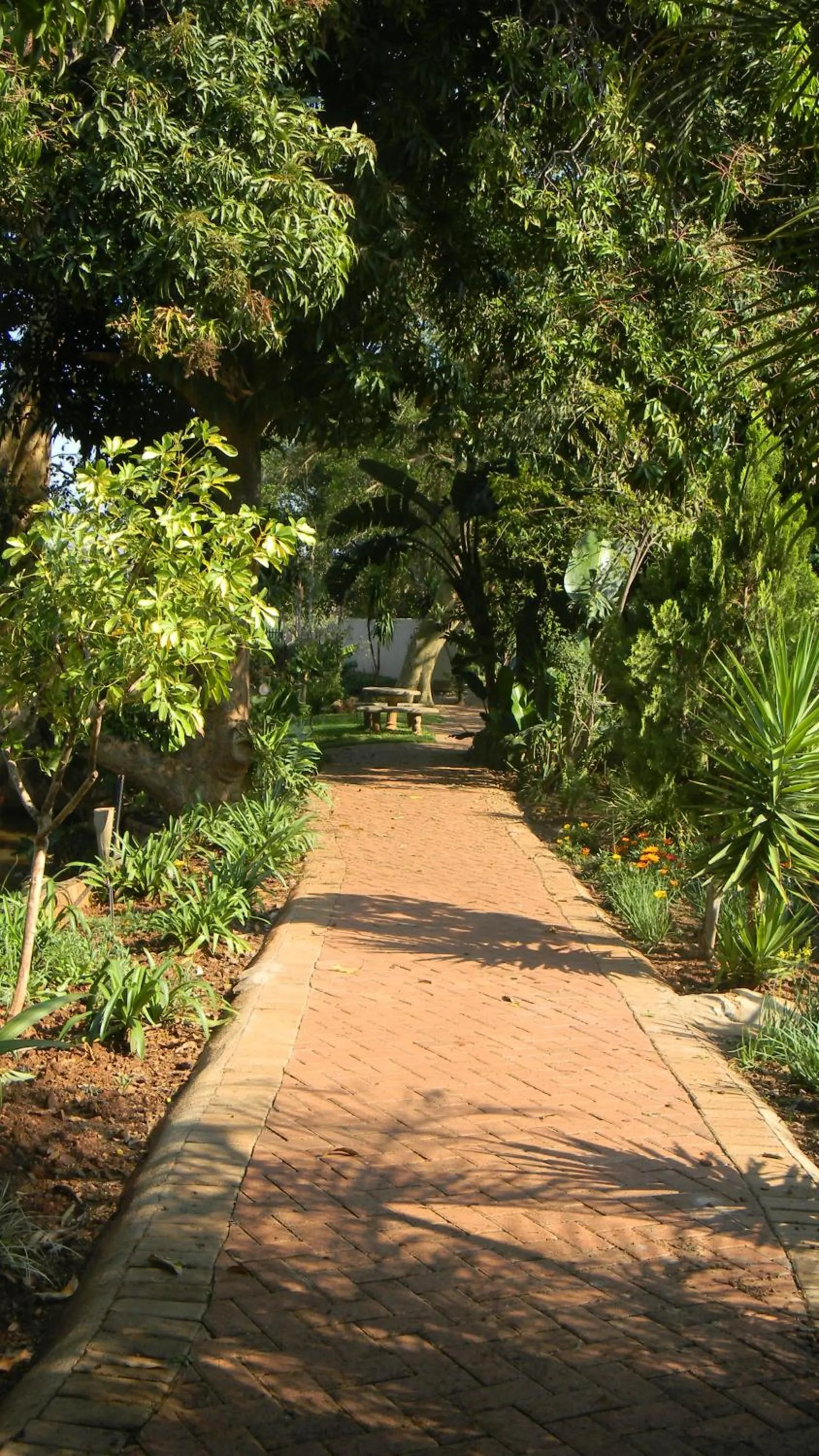 Garden in Rio Vista Lodge