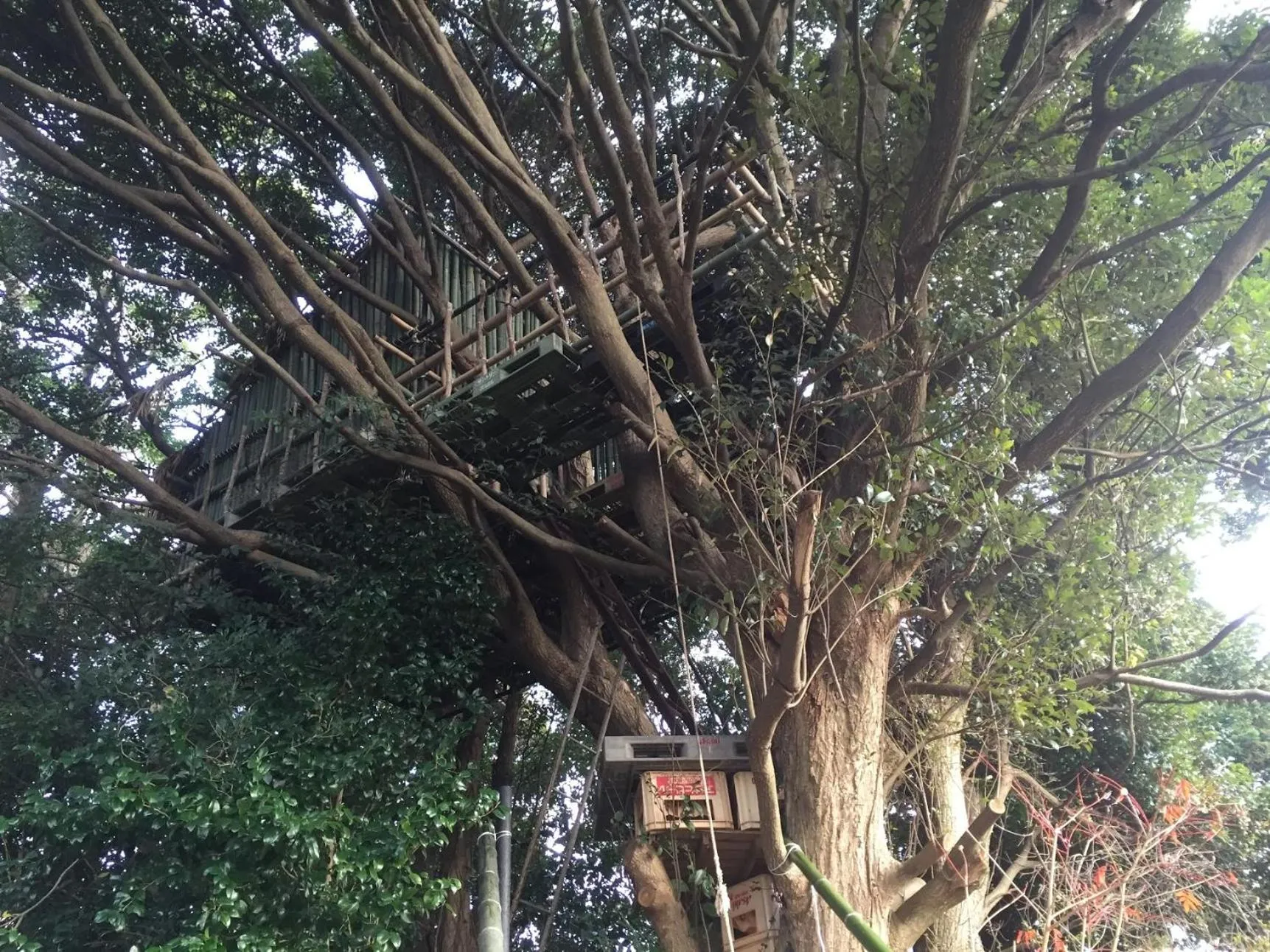 Garden in Guesthouse Wasabi