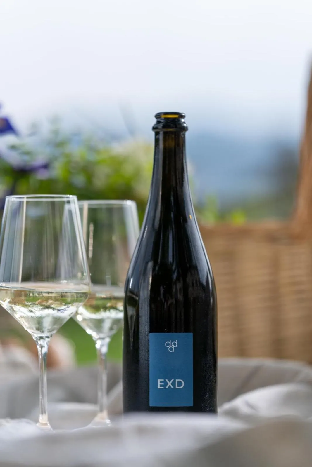 Food and drinks in Duca Di Dolle Wine & Relais