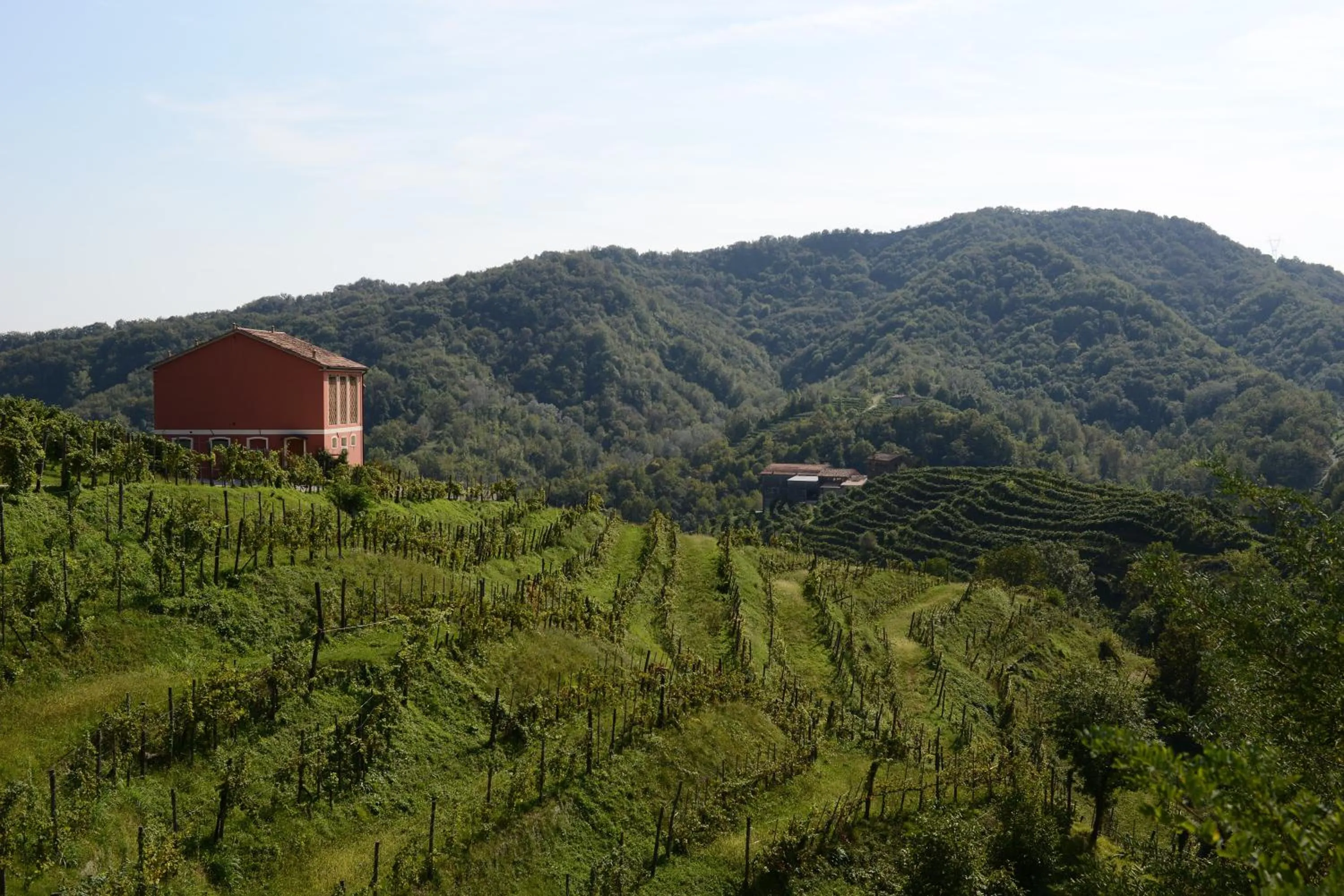 Day in Duca Di Dolle Wine & Relais