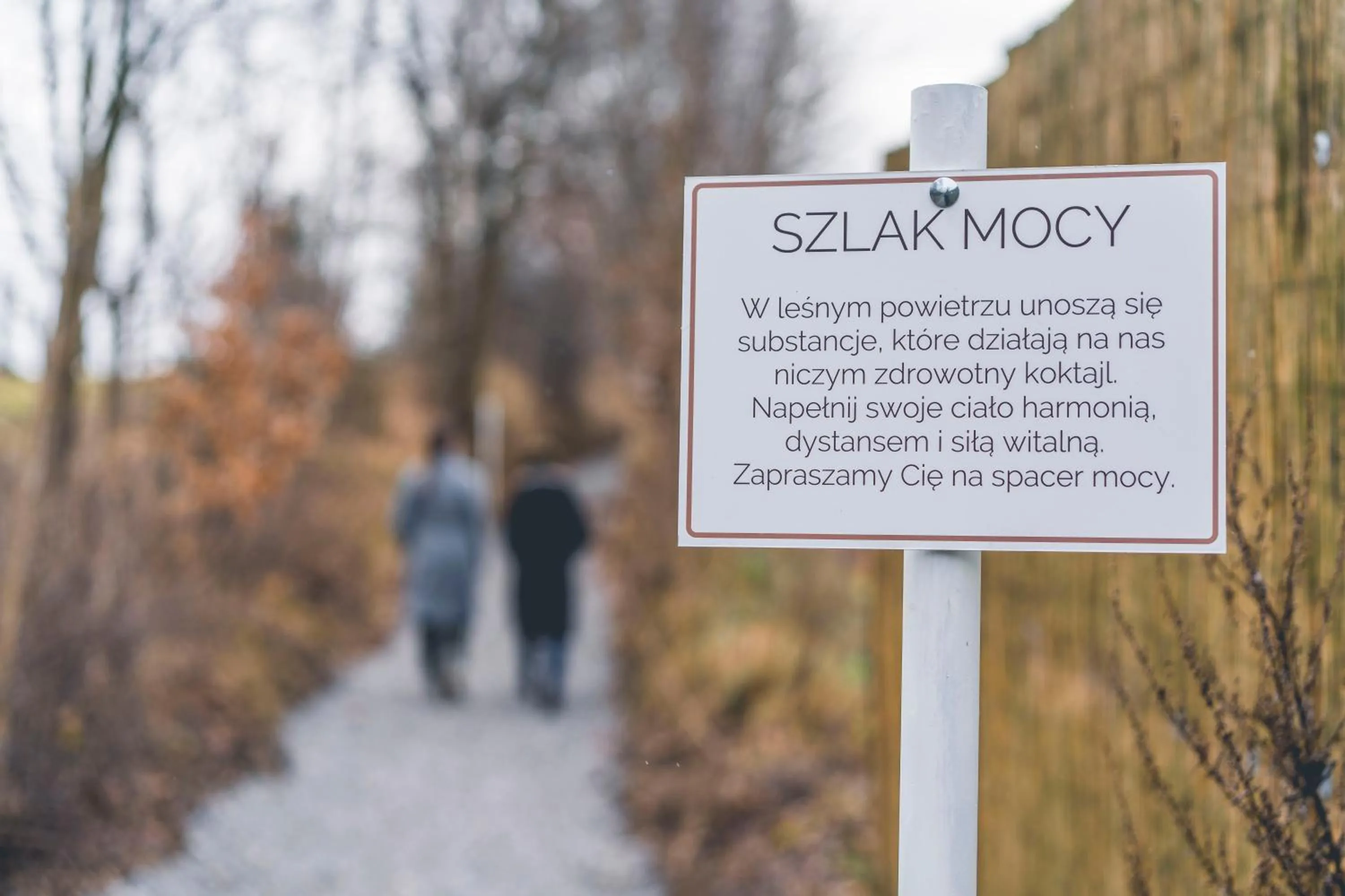 Day in Łubinowe Wzgórze - Wioska Zdrowia