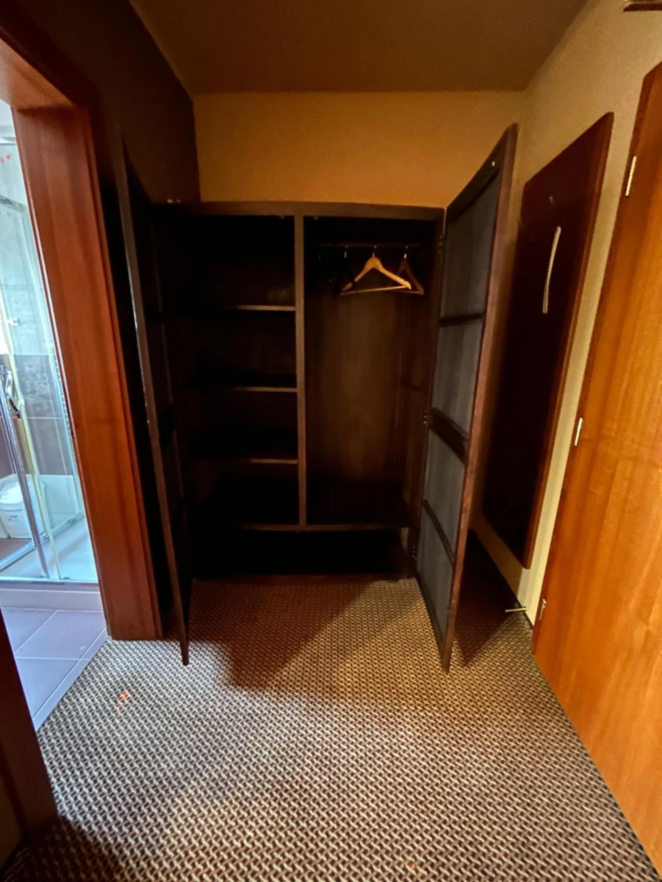 Double Room - single occupancy in Penzion Benedikti