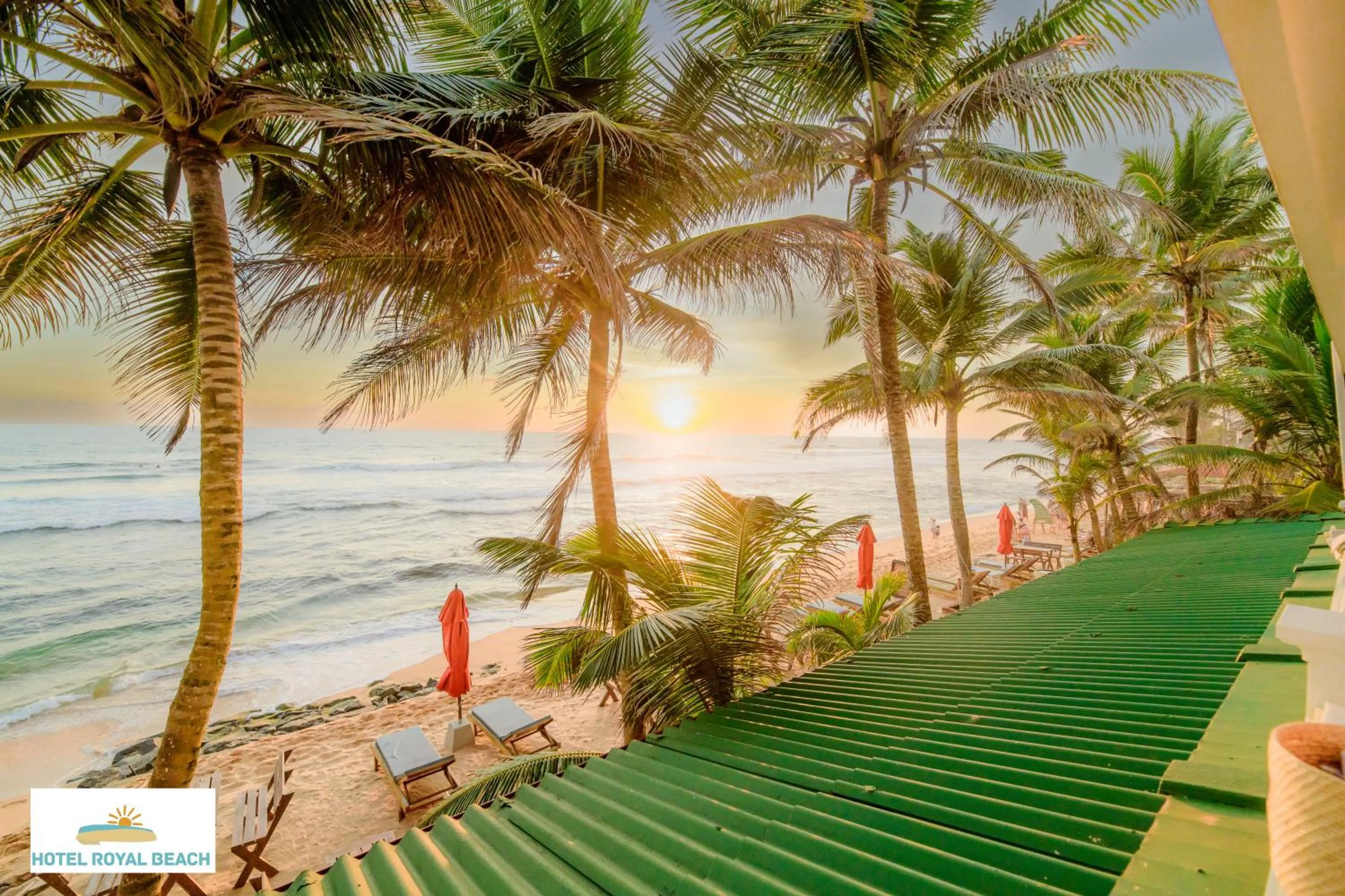 Beach in Royal Beach Hotel Hikkaduwa