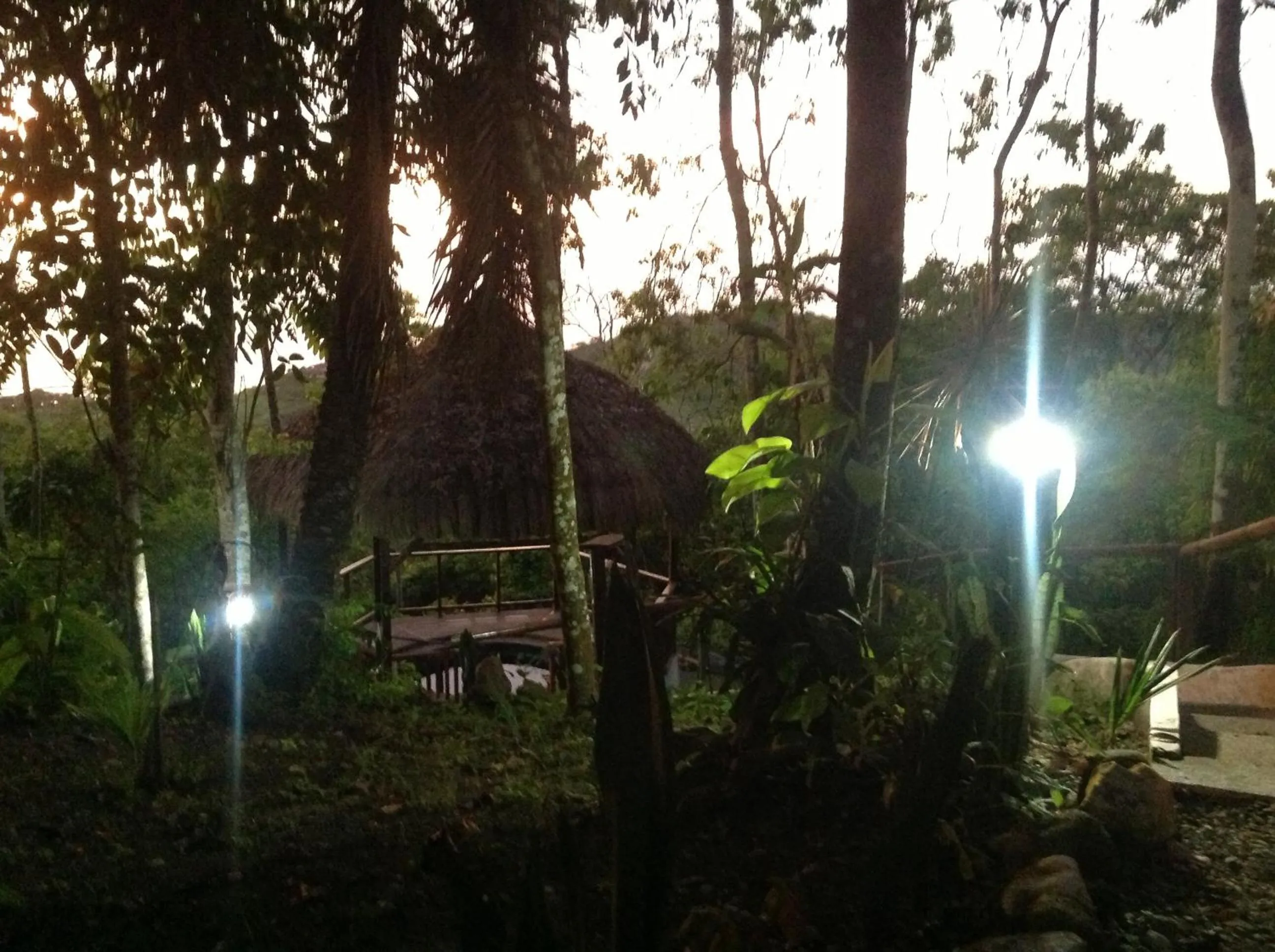 Garden in Samai Lodge Holistic Living