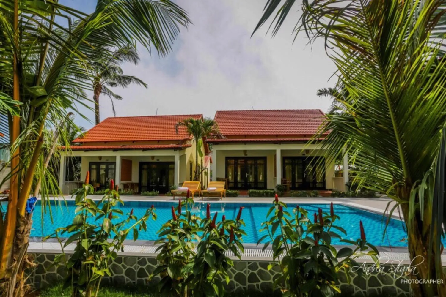 Pool view in Phu Quoc Dumbo Bungalow