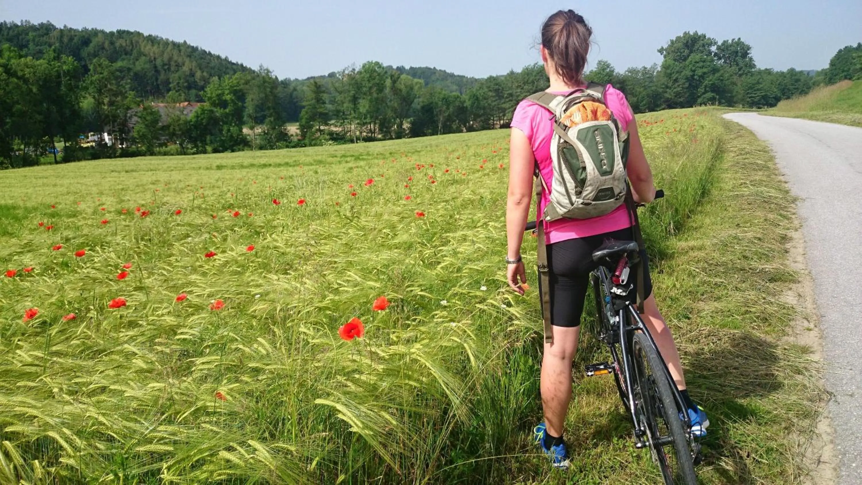 Malerwinkl Restaurant + Kunsthotel