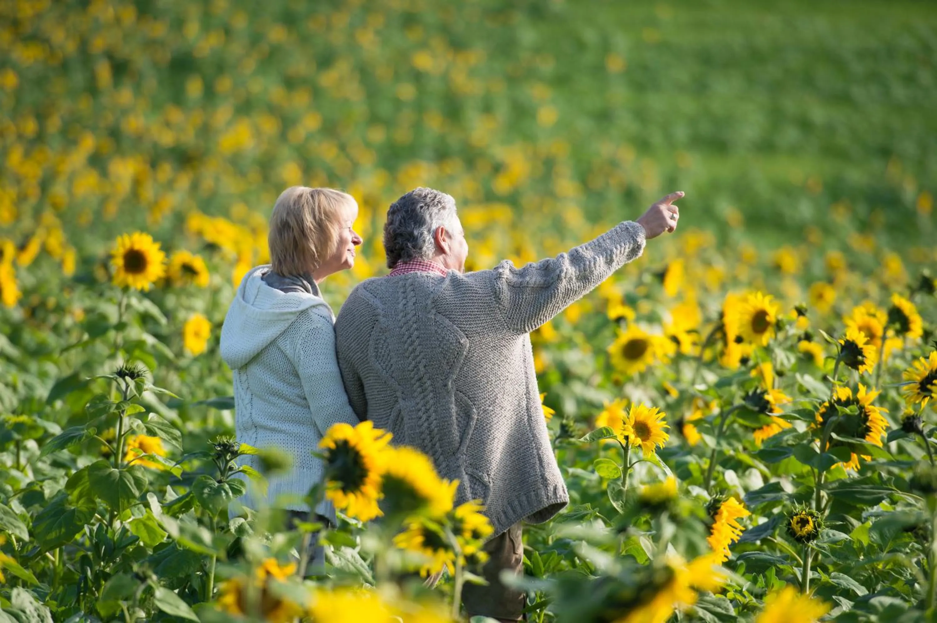 Area and facilities in Malerwinkl Restaurant + Kunsthotel