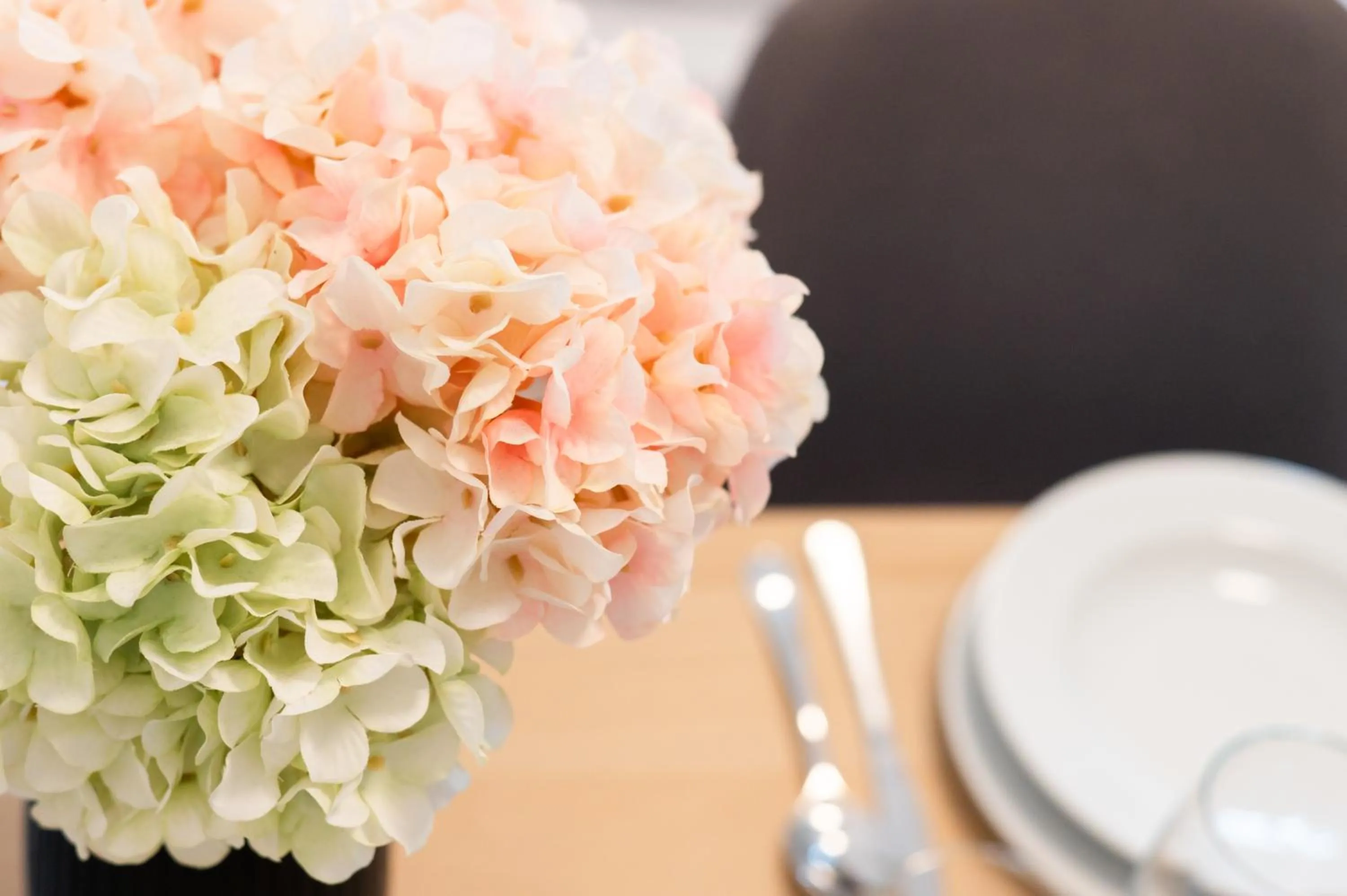 Decorative detail in Forgotten Garden Apartments Portoroz