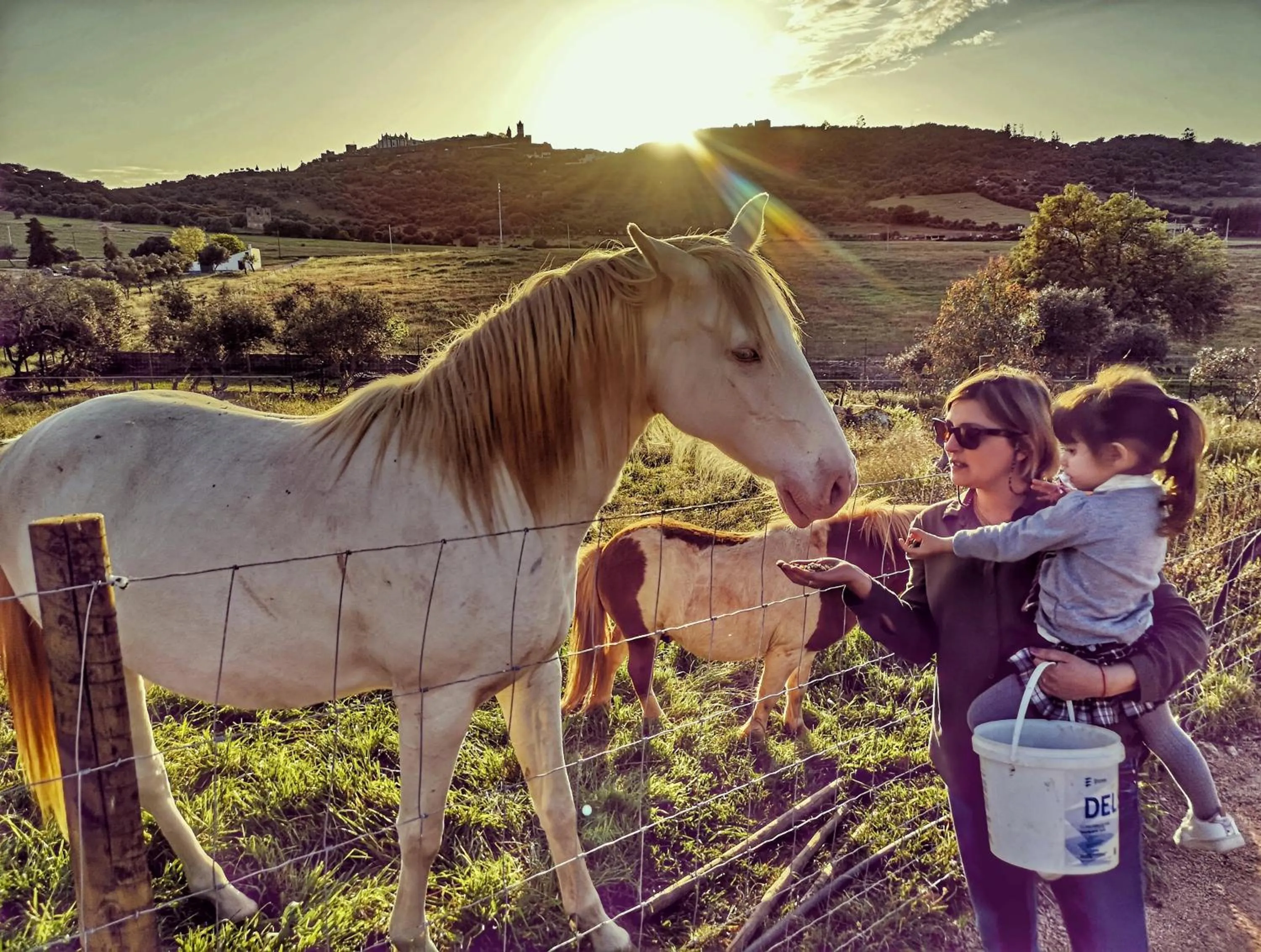 Monte Santa Catarina