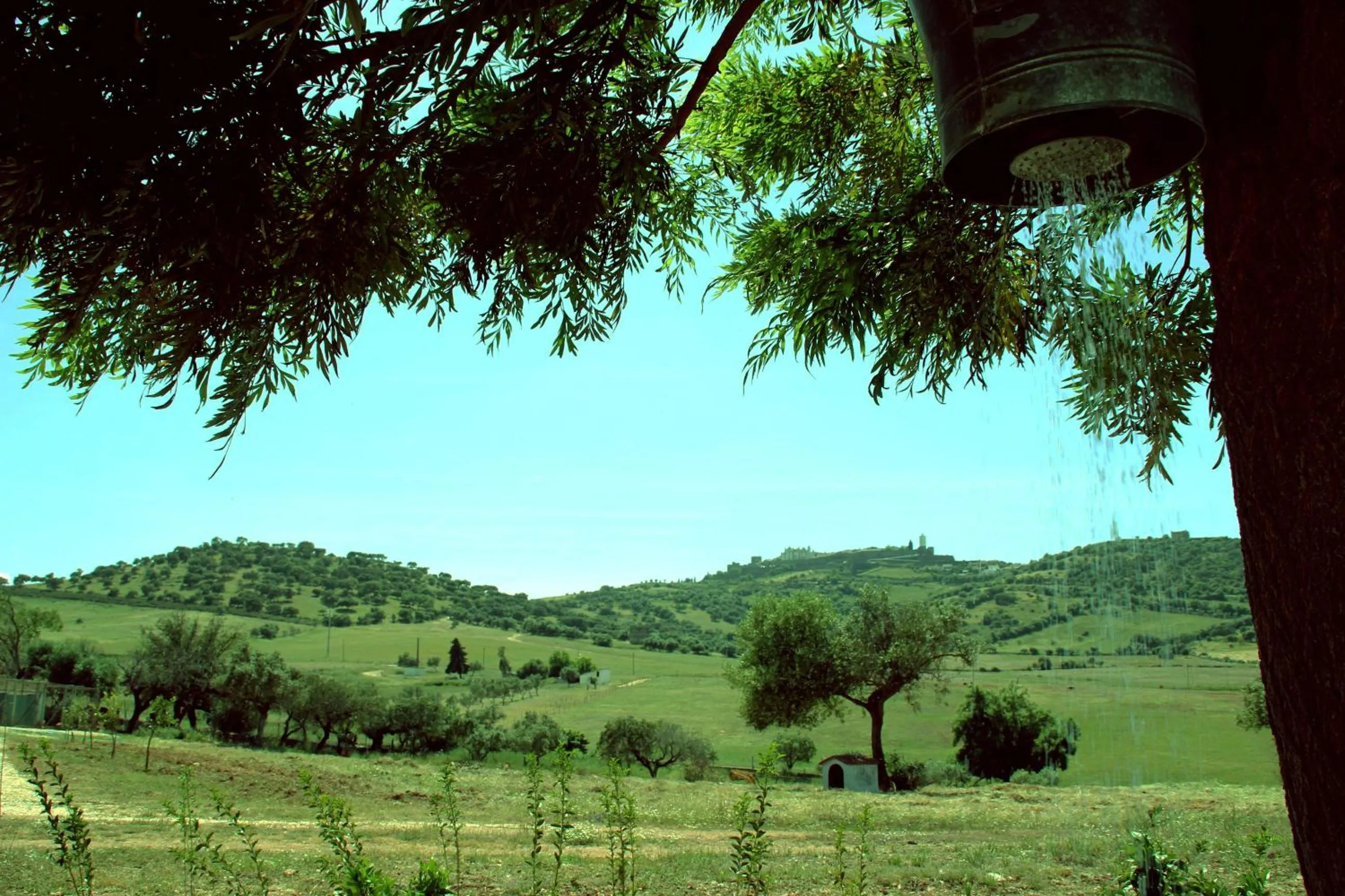 View (from property/room) in Monte Santa Catarina