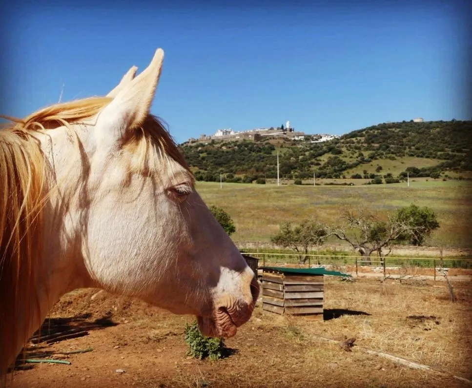 Monte Santa Catarina