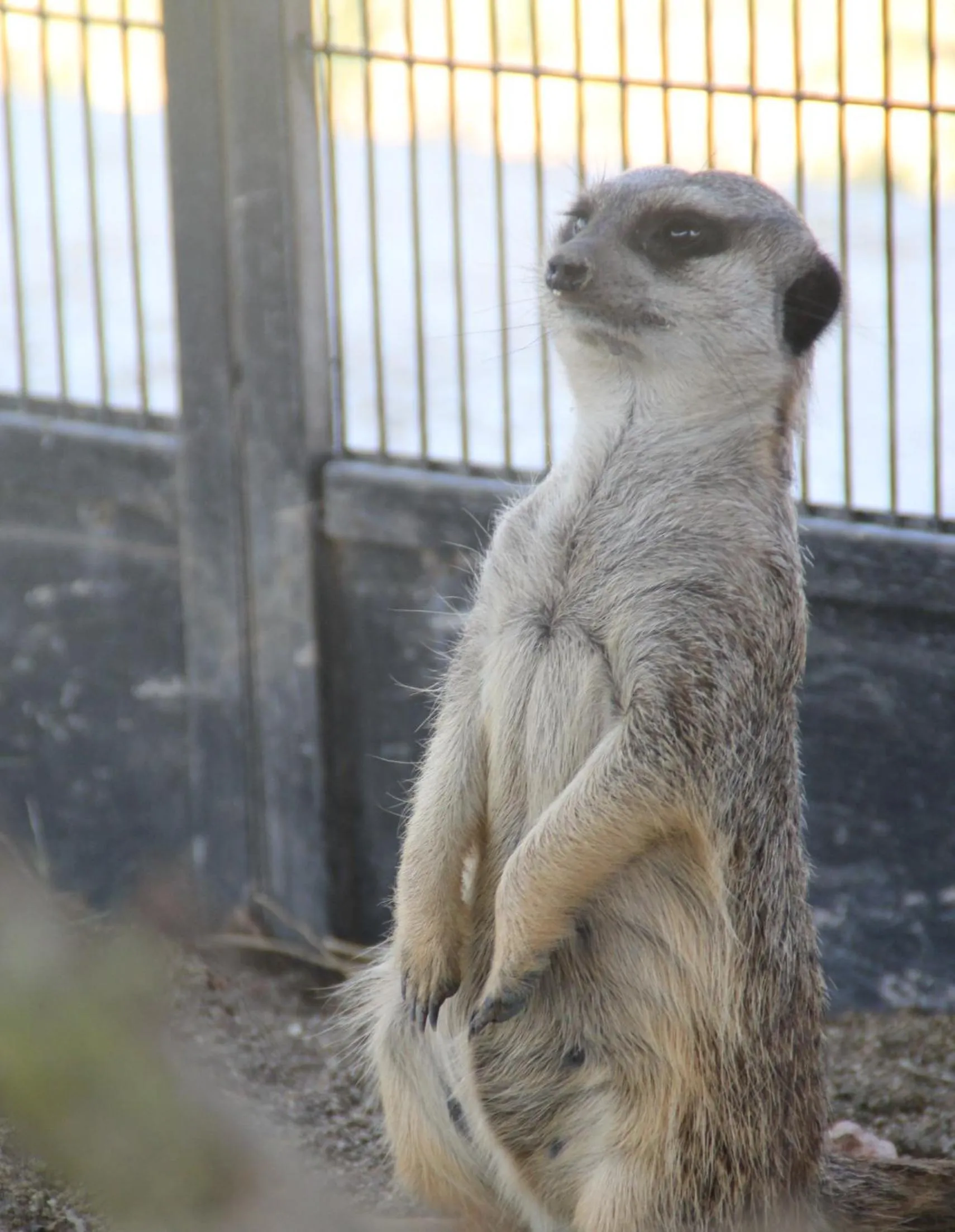 Other in Monte Santa Catarina
