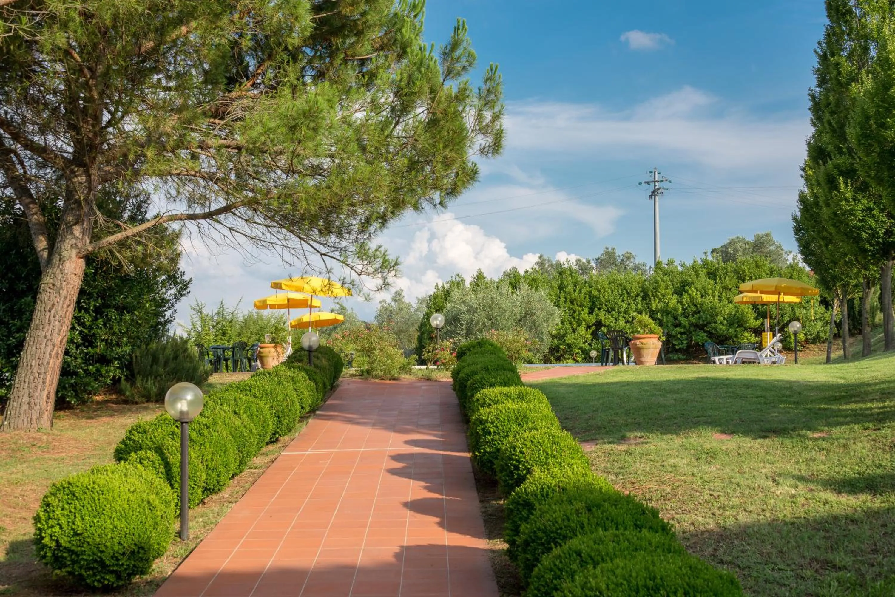 Swimming pool in Podere Torricella