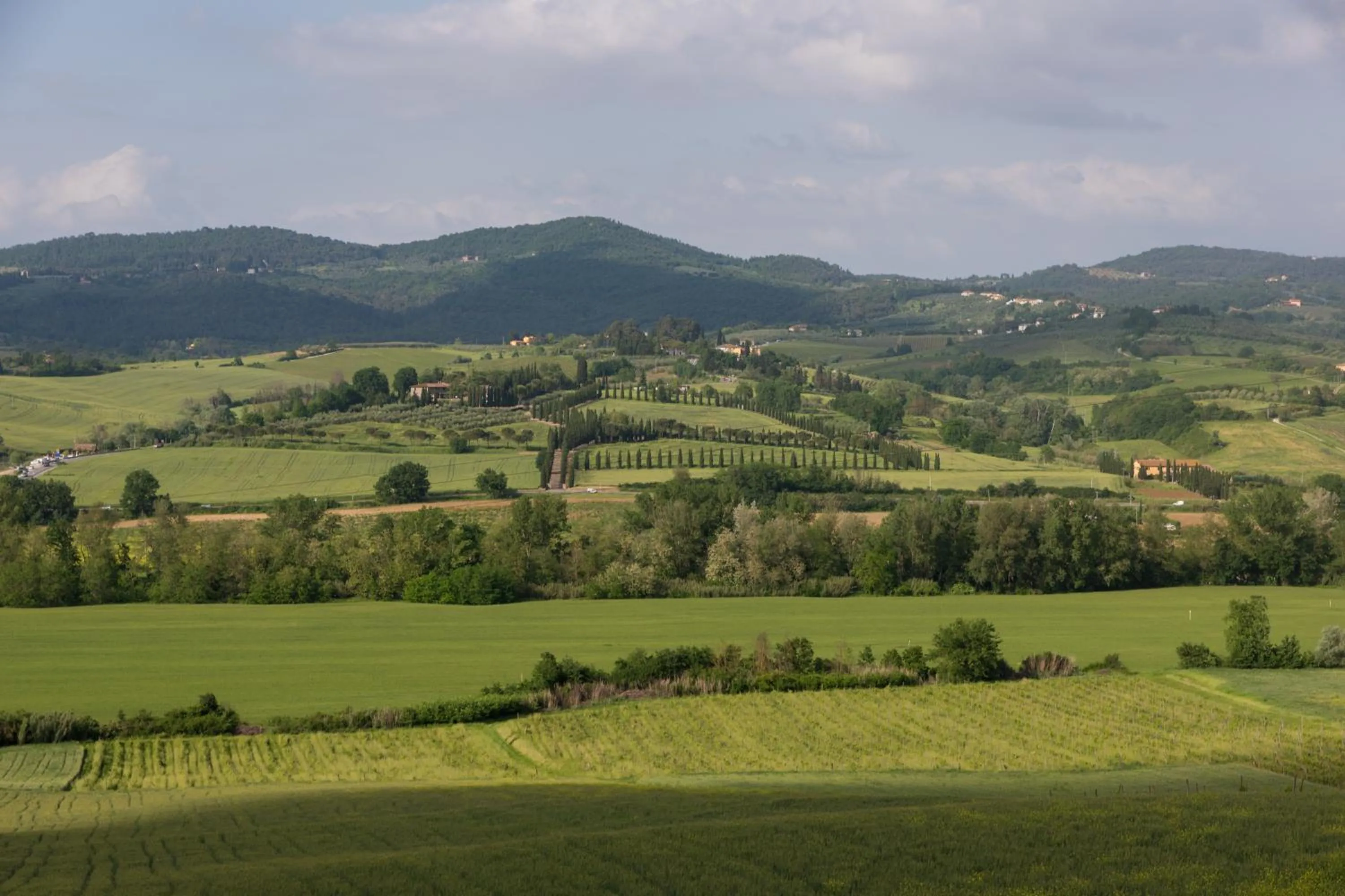 Pool view in Podere Torricella